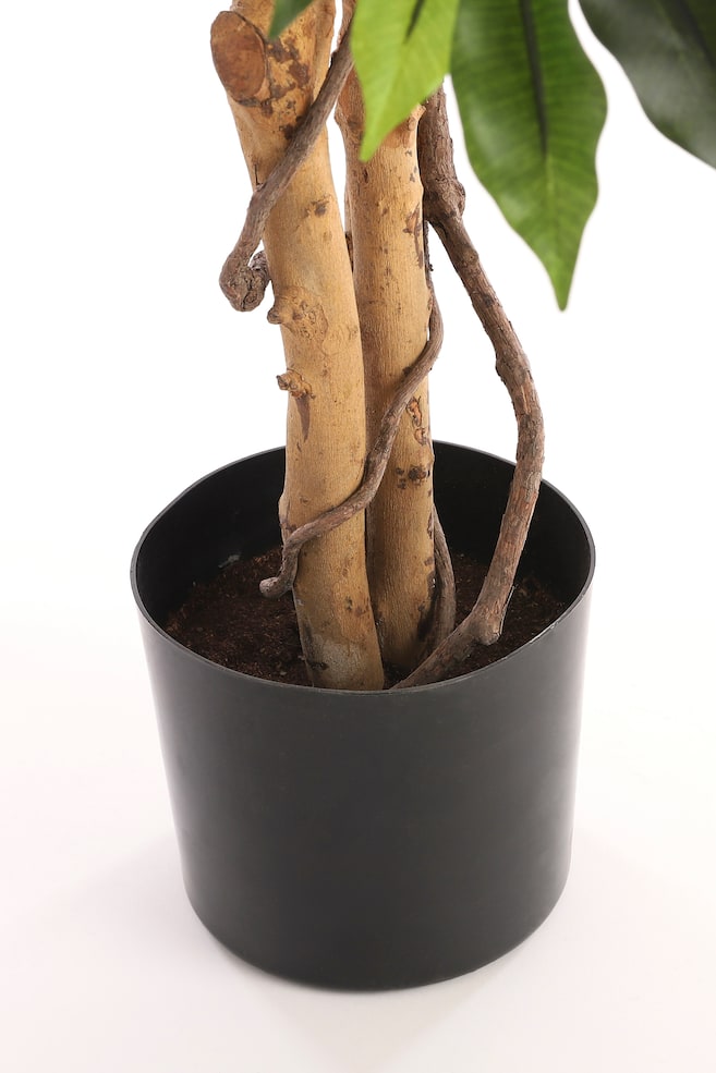 Ficus plante artificielle - Vert/Vert; Panaché - 3