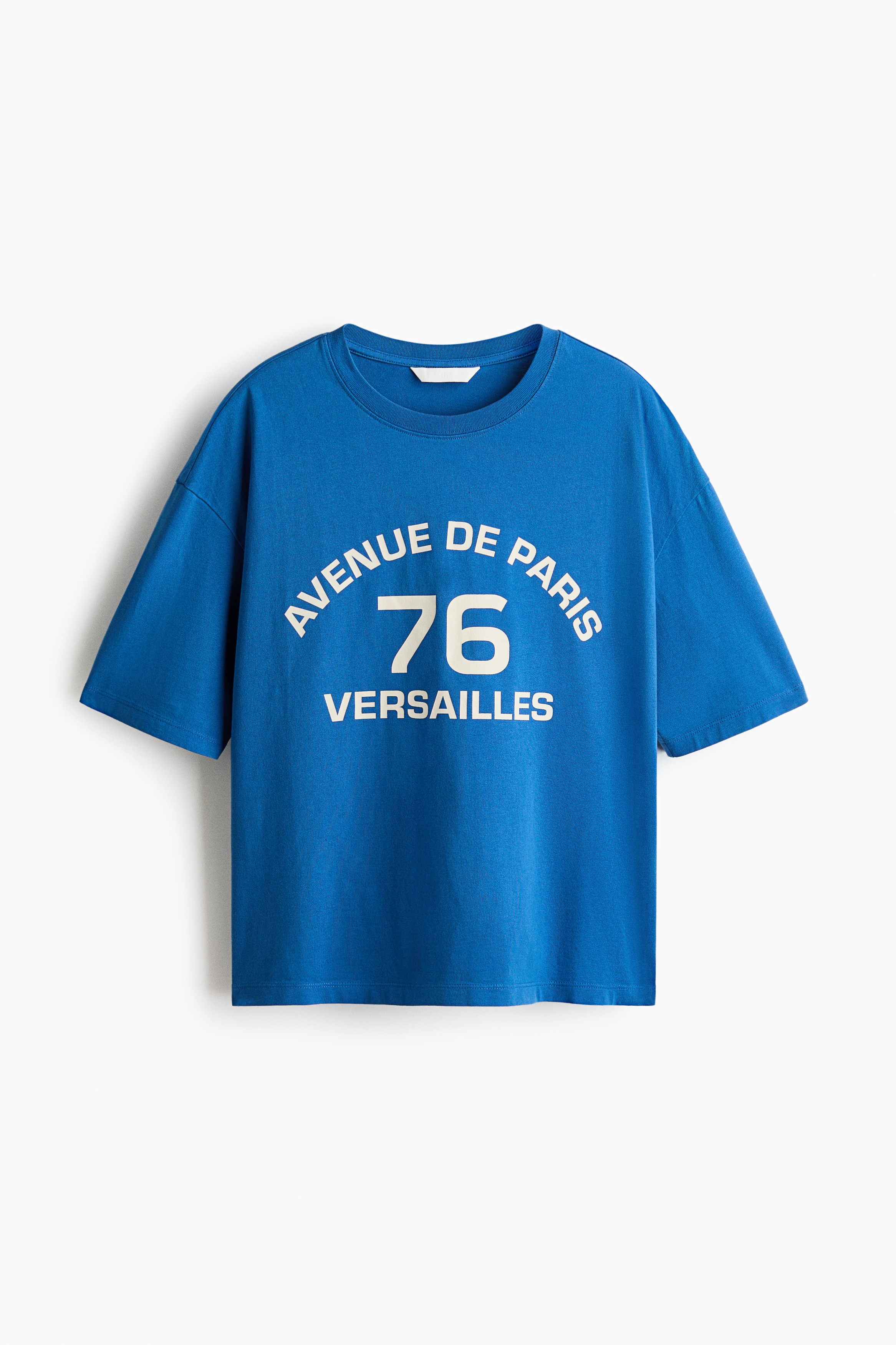 Oversized print-motif cotton T-shirt - Bright blue/Versailles/Dark grey/Paris