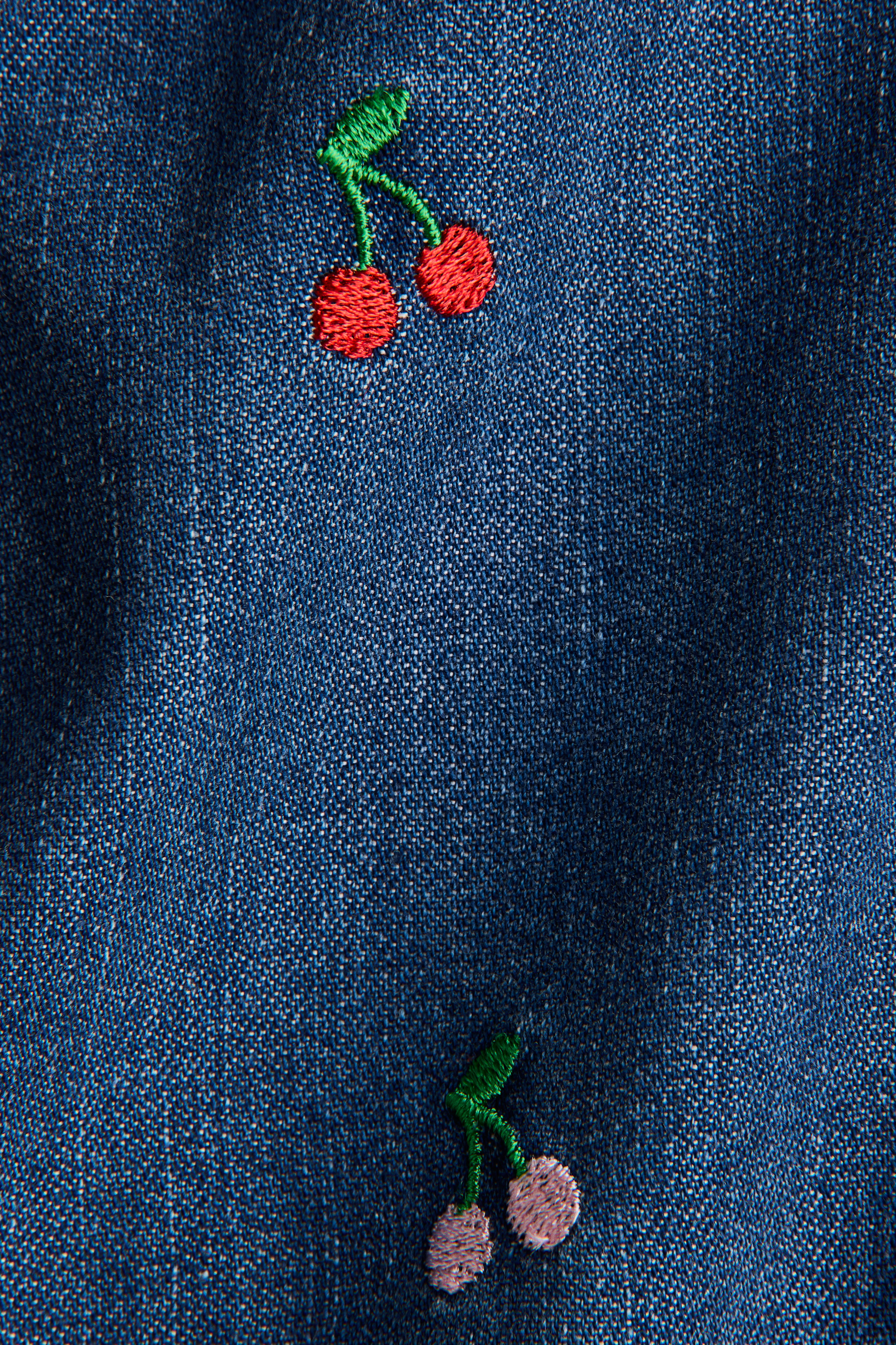 Denim Shirt Dress with Embroidery