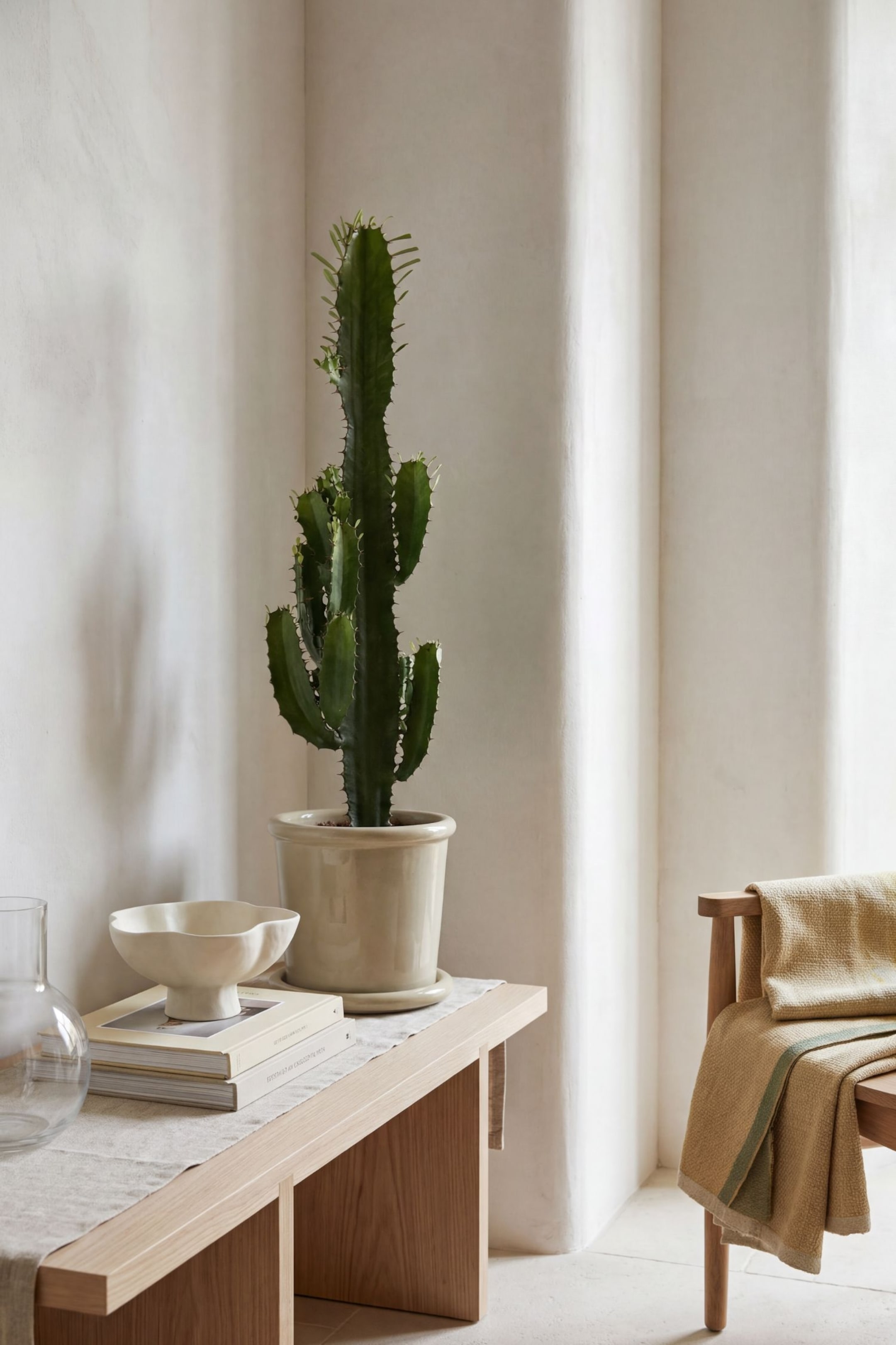 Größeres Bild ansehen: Euphorbia Cowboy Kaktus - H 60cm - Bloomique - Home All | H&M DE 1
