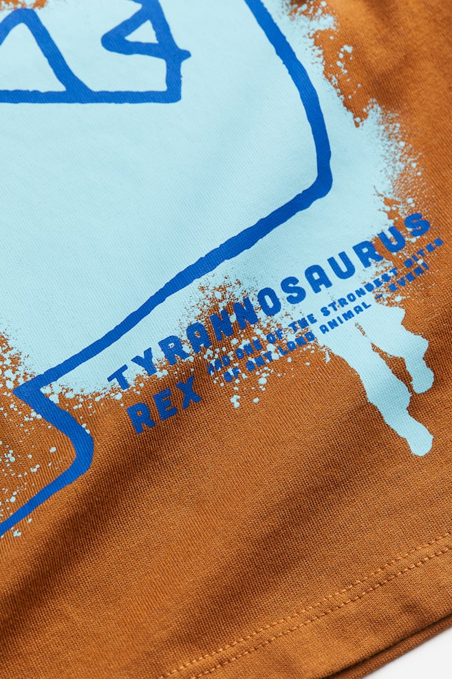 T-shirt à manches longues - Marron/dinosaure/Bleu foncé/New York/Turquoise/Wow/Noir/NASA/Vert ancien clair/dinosaures - 3