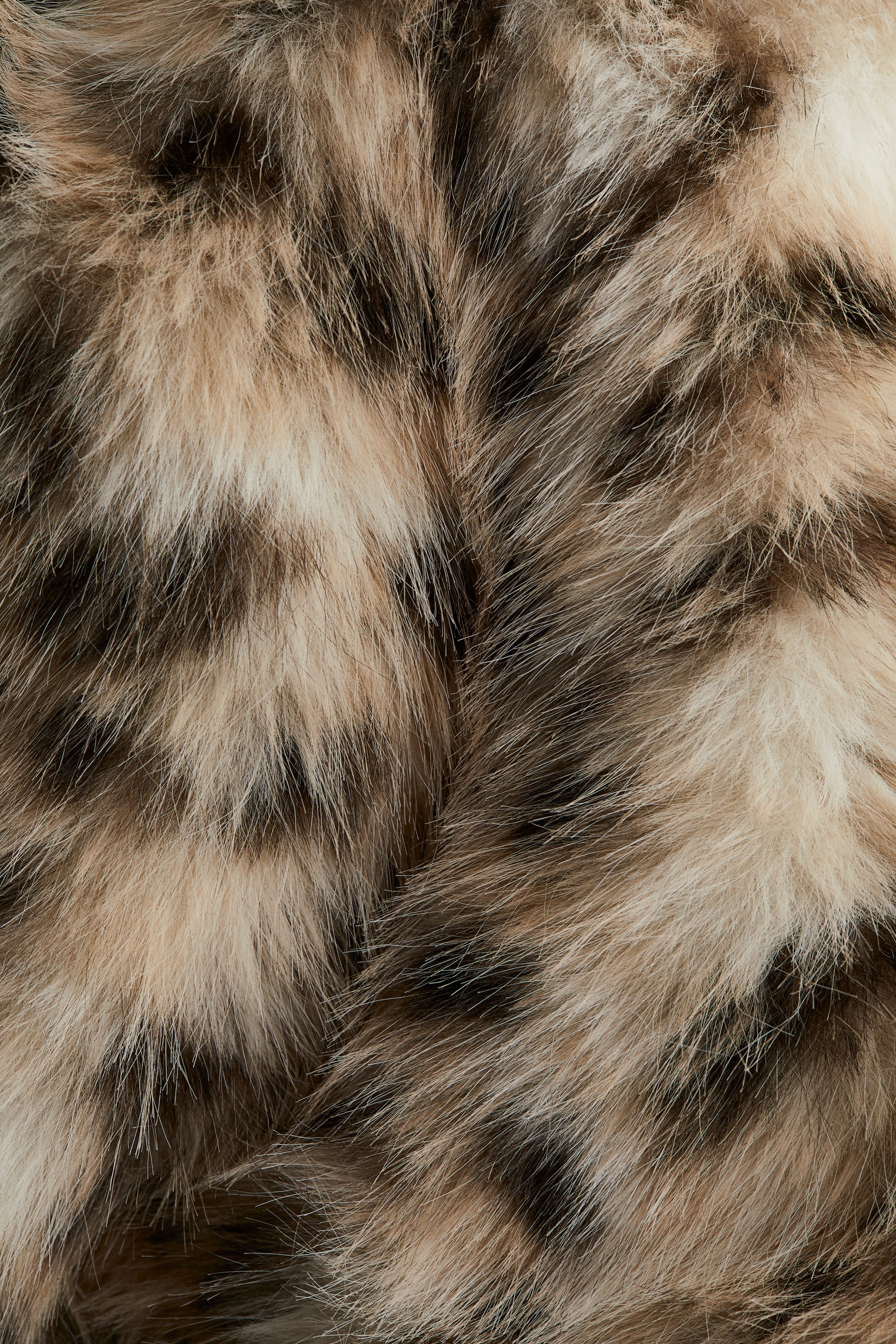 View larger image: Hooded jacket - Cream/Leopard print - Ladies | H&M GB 6