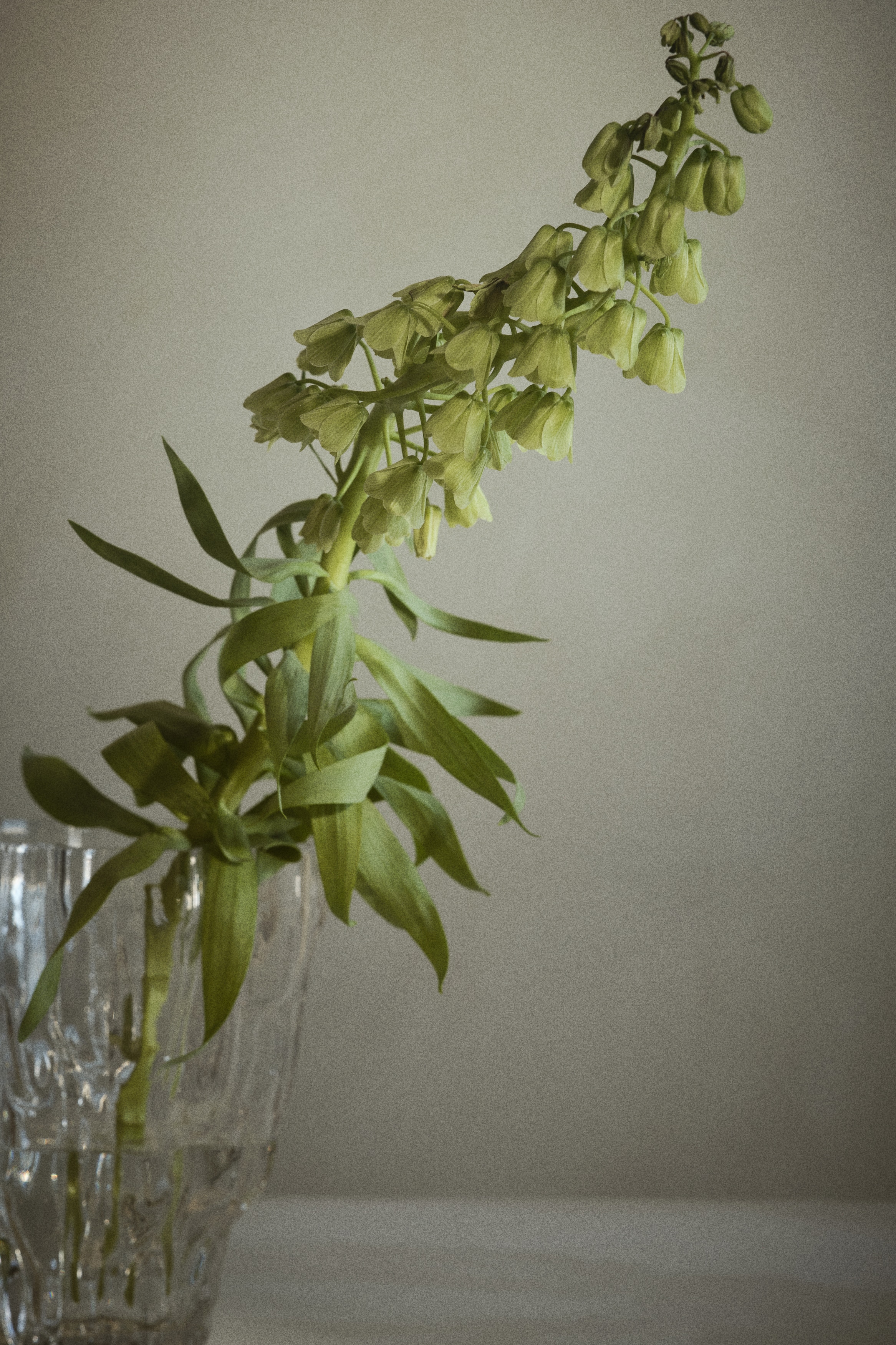 Textured-Glass Vase - Transparent/Yellow