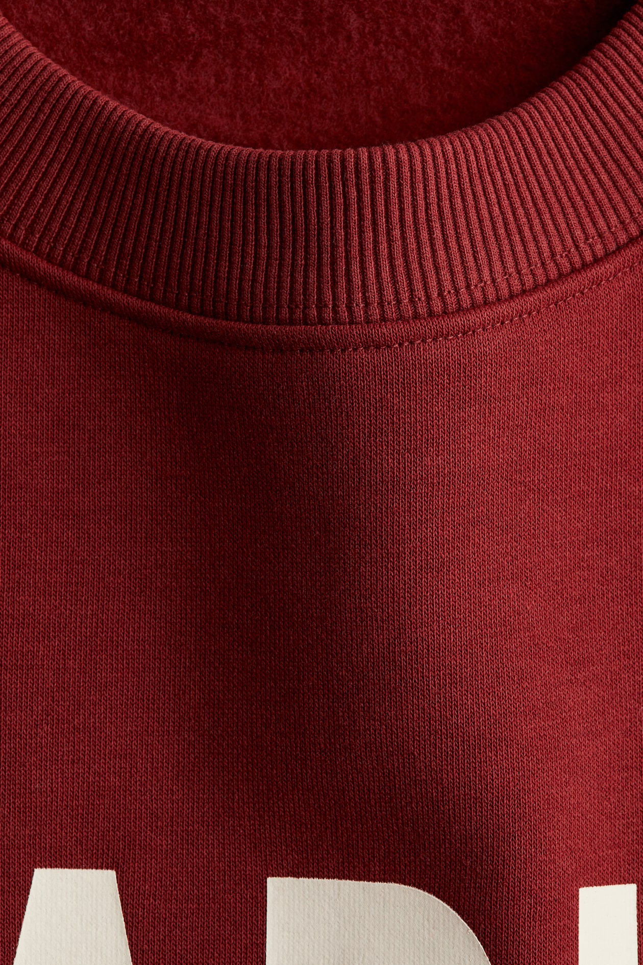 Sweatshirt with Text Motif - image 4