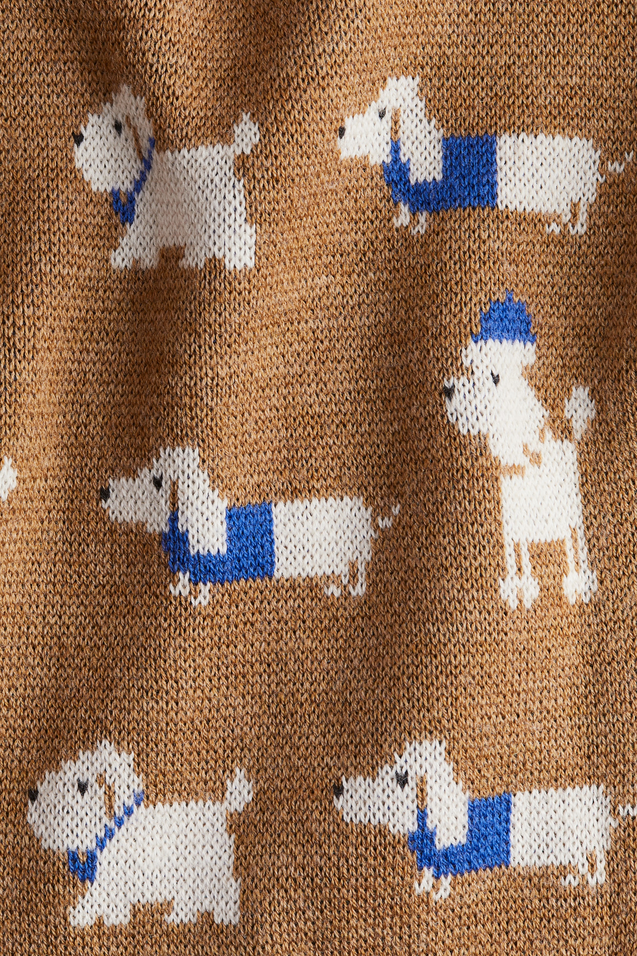 Jacquard-knit wool cardigan - Brown/Dogs - Kids | H&M GB 4