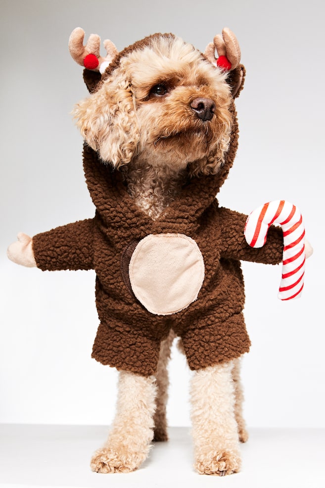 Costume de renne pour chien - Marron - 1