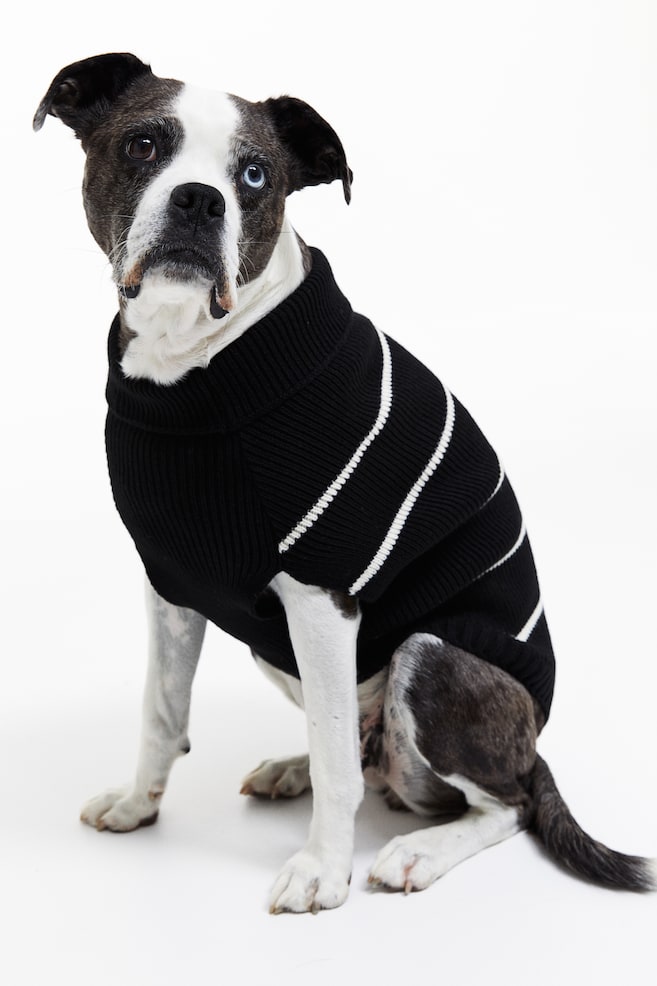 Rib-knit dog jumper - Black/Striped/Light blue/Striped - 1