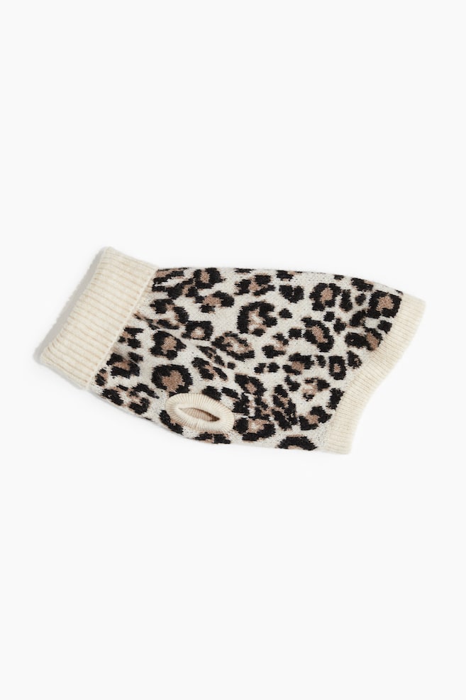 Chandail jacquard pour chien - Beige clair/imprimé léopard - 1