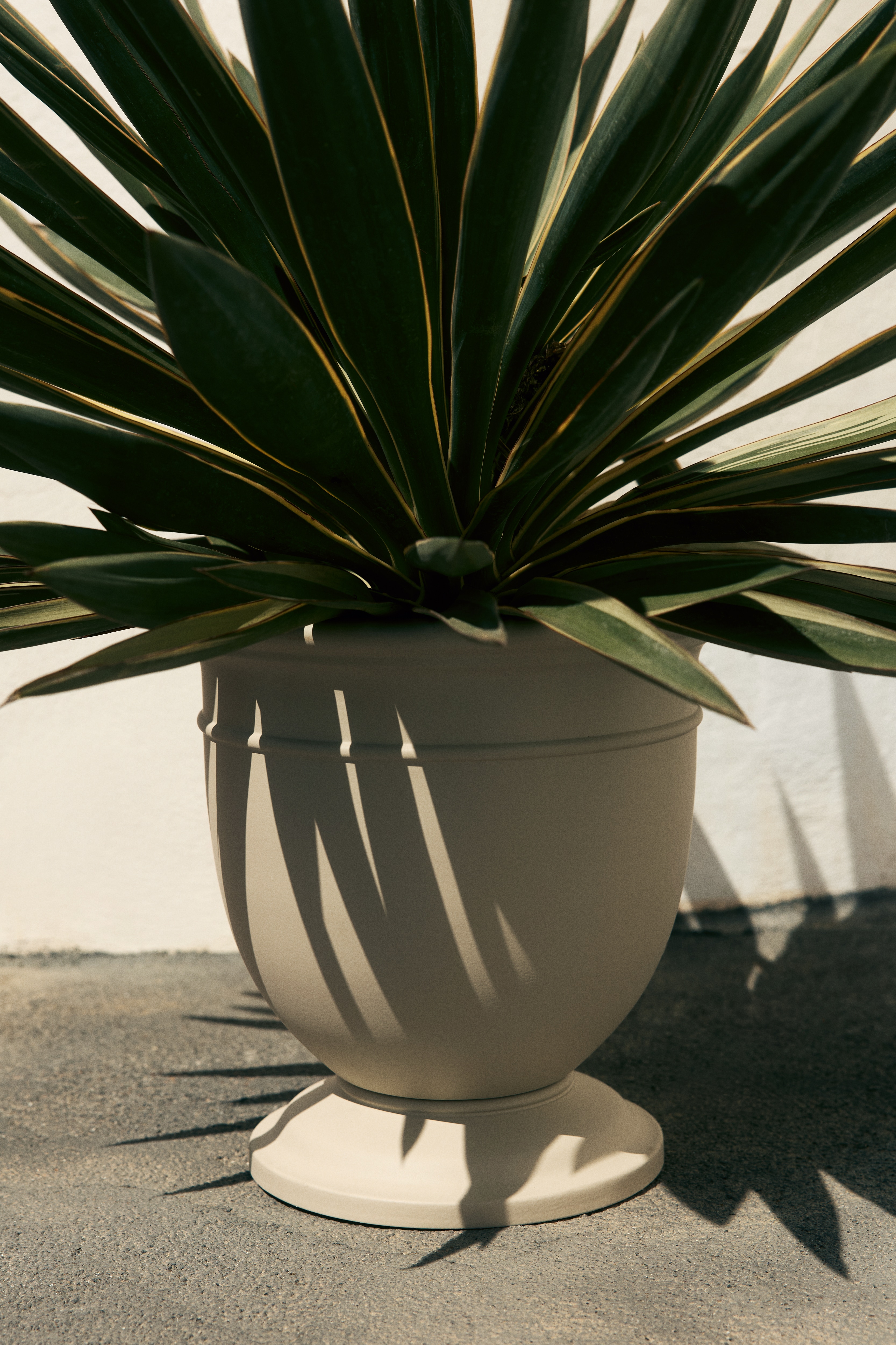 Large metal plant pot