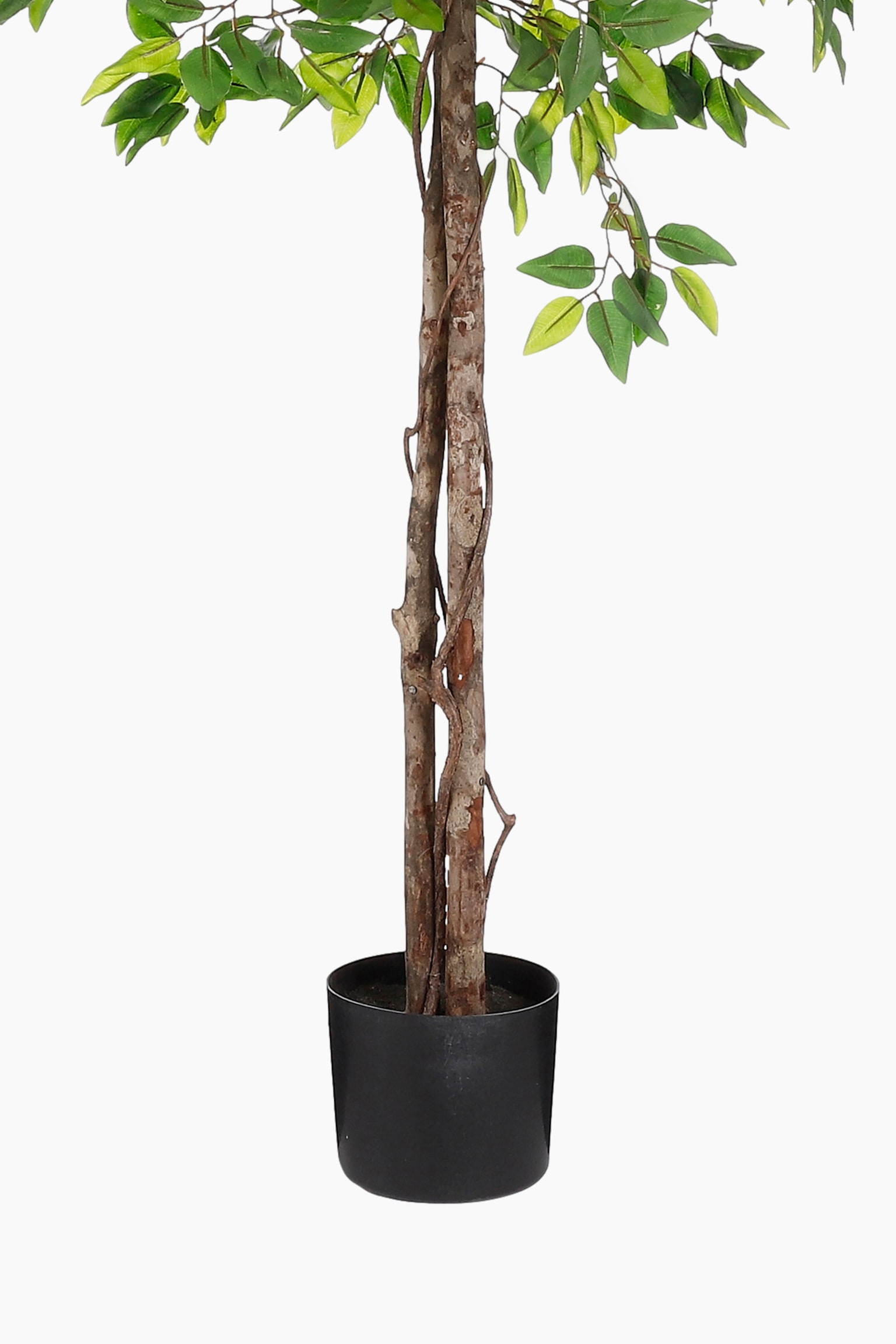 Sztuczna Roślina Figowca - Zielona - 4