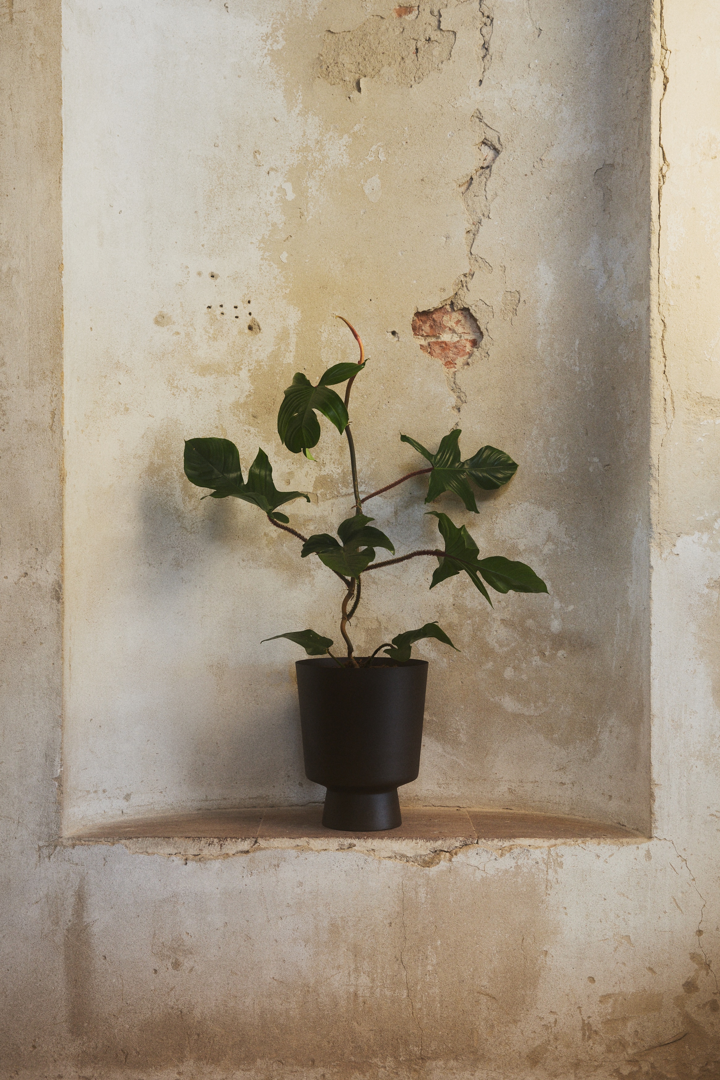 Grote metalen bloempot - Donkerbruin/Lichtbeige/Terracotta