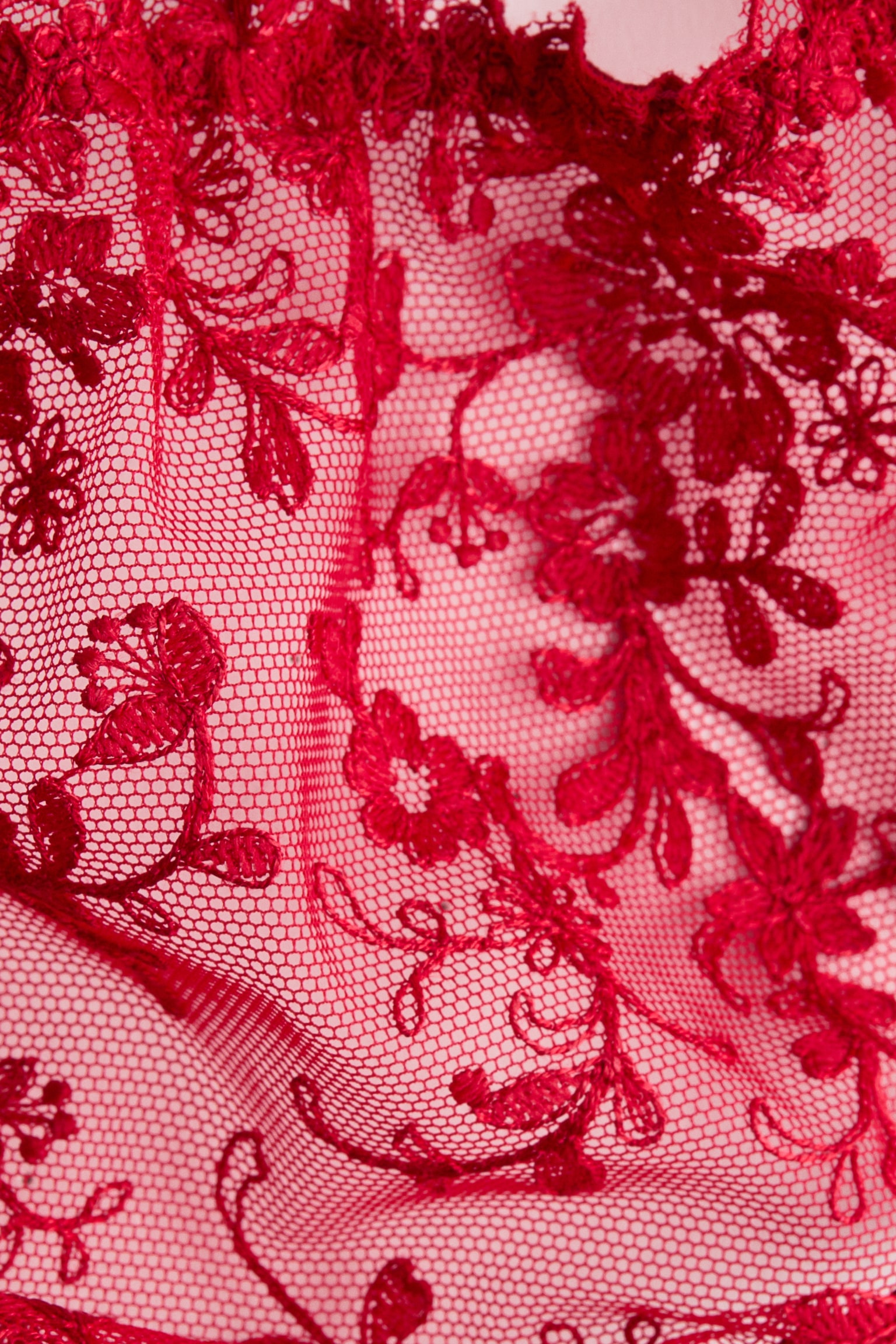 Embroidered thong briefs - Rot - 2