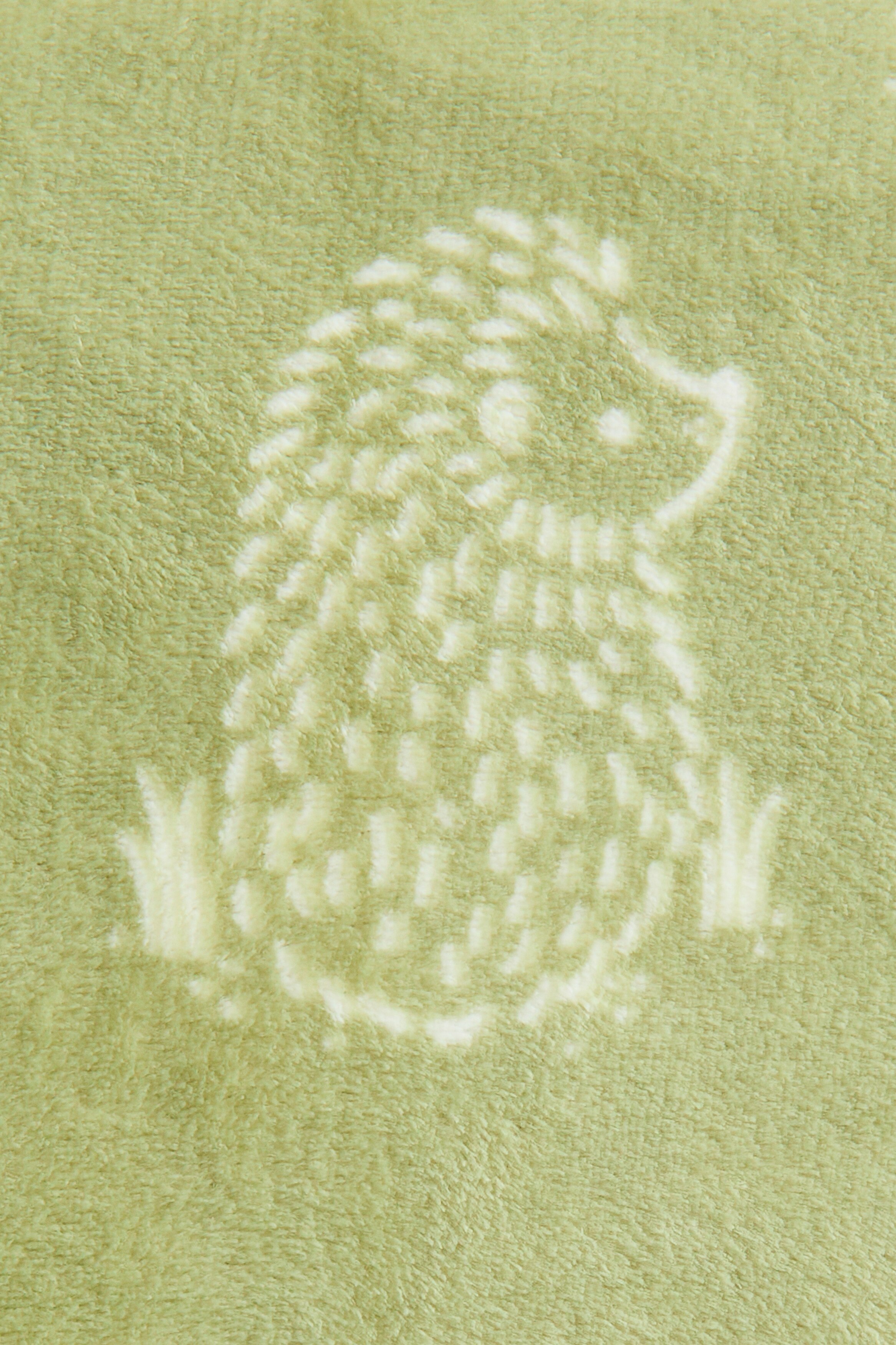 パターンフリースブランケット - グリーン／ヘッジホッグ - Home