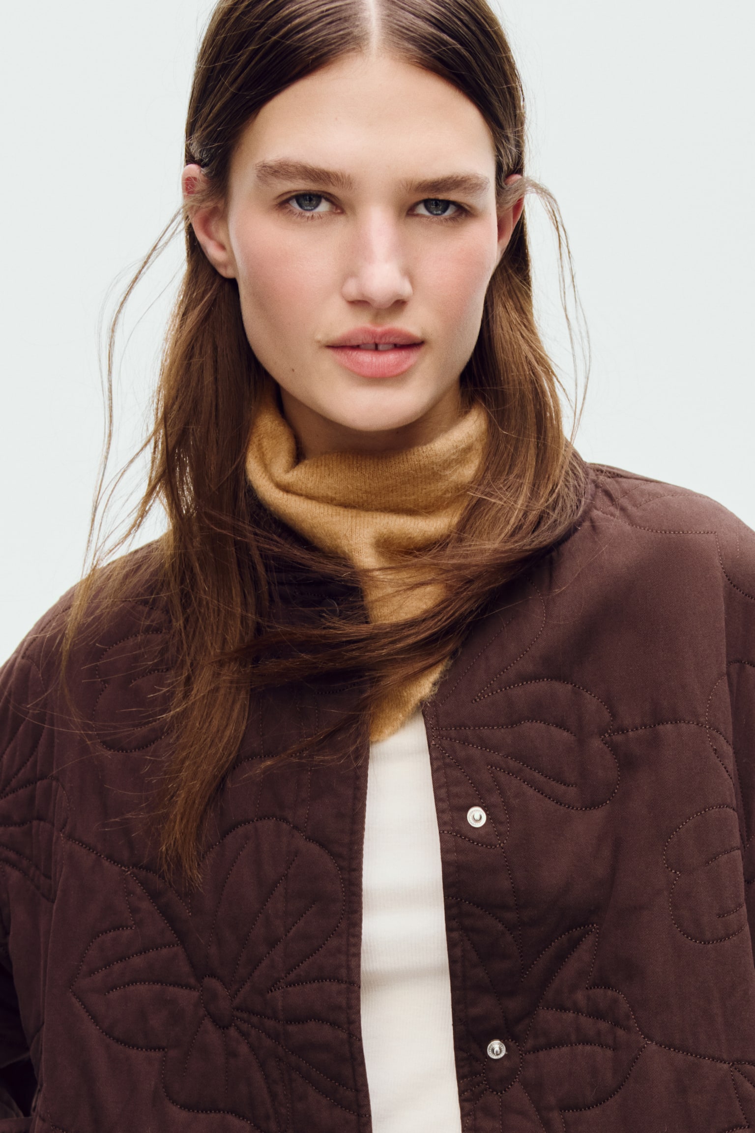 Quilted bomber jacket - Dark brown/Light beige - 3