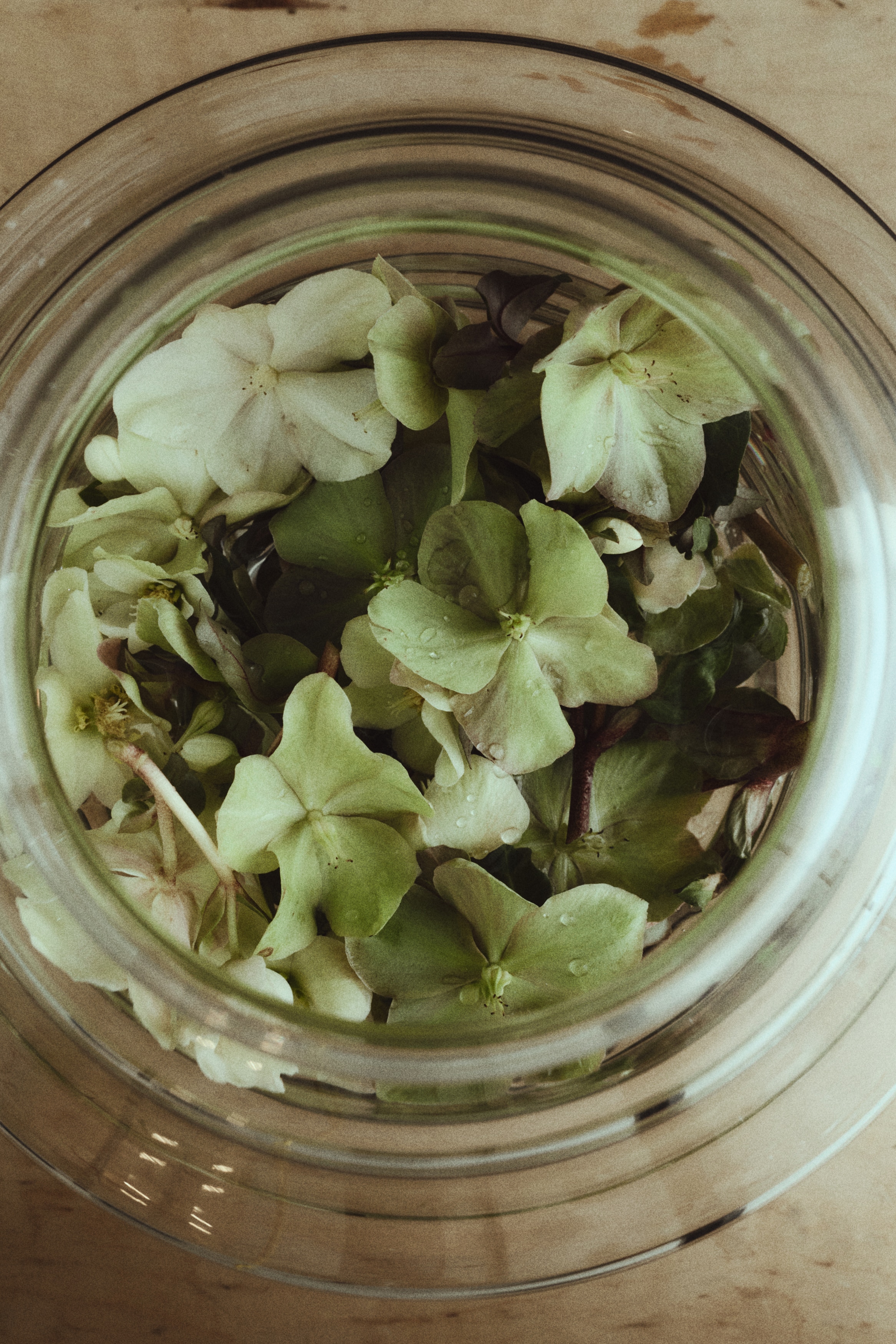 Stor strukturell vase - Transparent/Rosa/Tåkebrun
