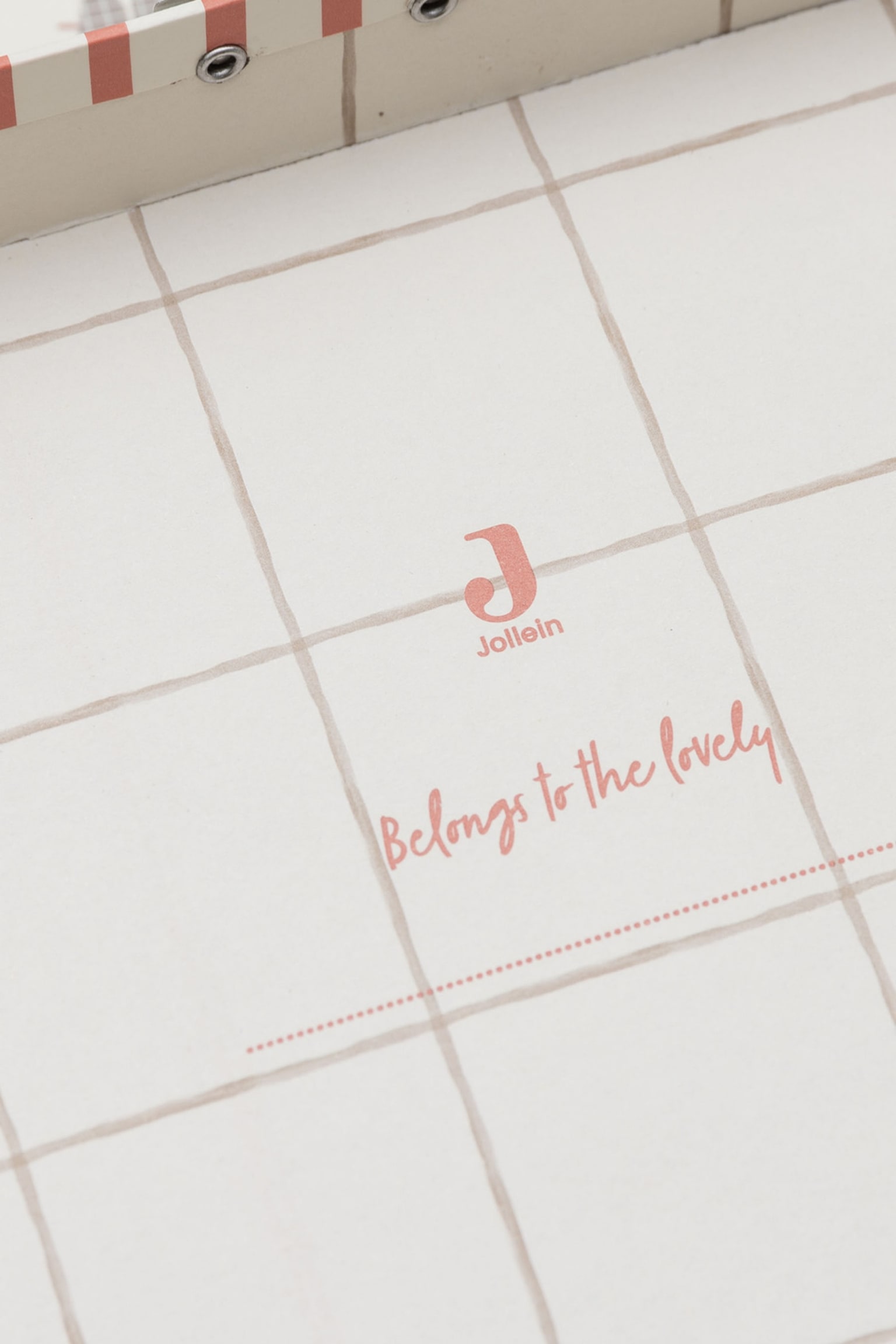 Toise Murale & Valisette À Jouets - Animal Friends/Tiny Park - 7