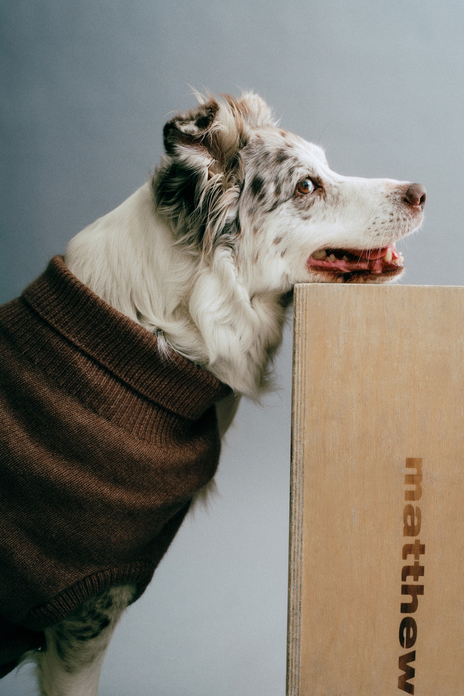 Женский свитер H&M Fine-Knit Dog, цвет: Тёмный бежевый — фото 6
