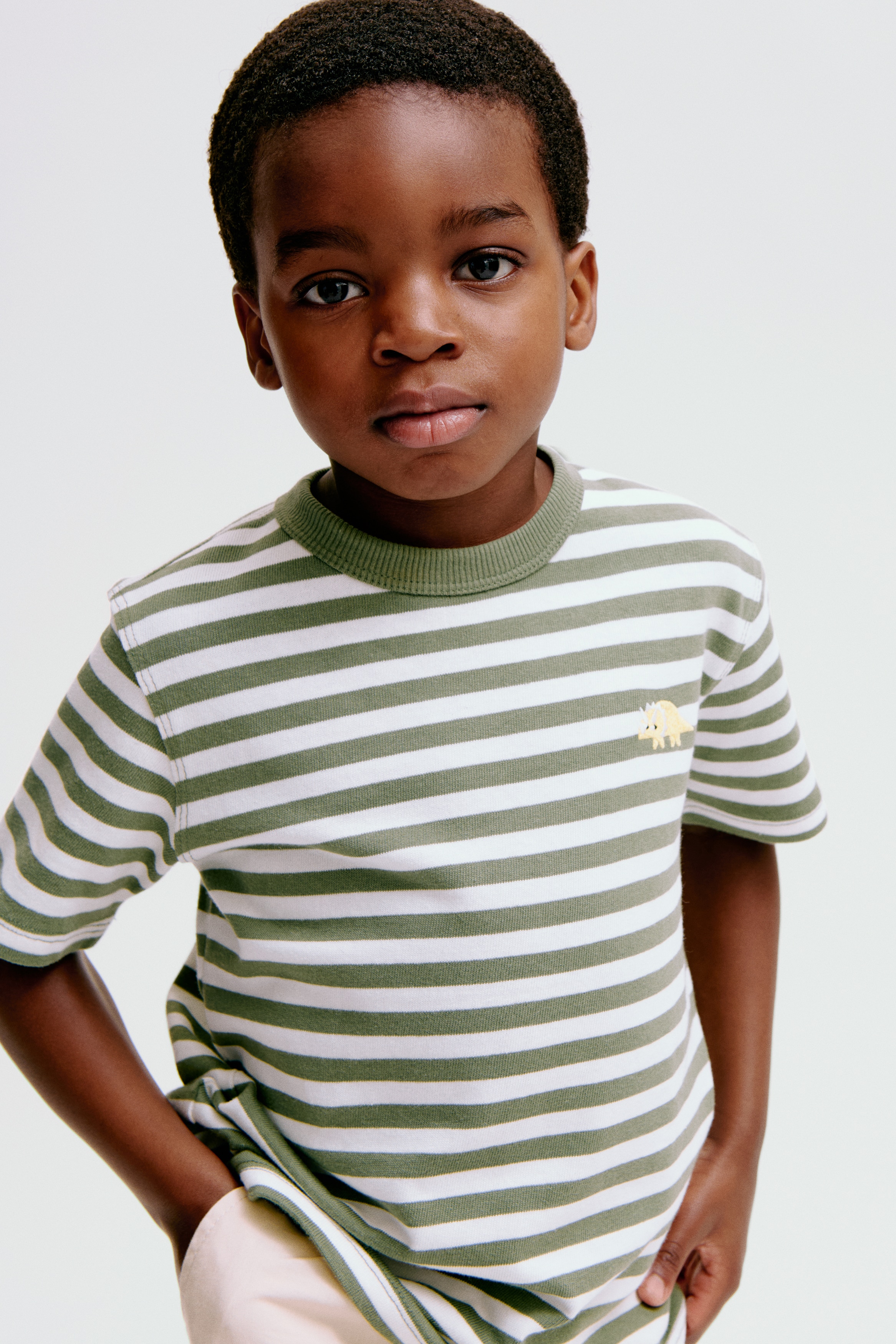 T-shirt z haftowanym detalem - Zieleń khaki/Paski/Ciemnoczerwony/Paski