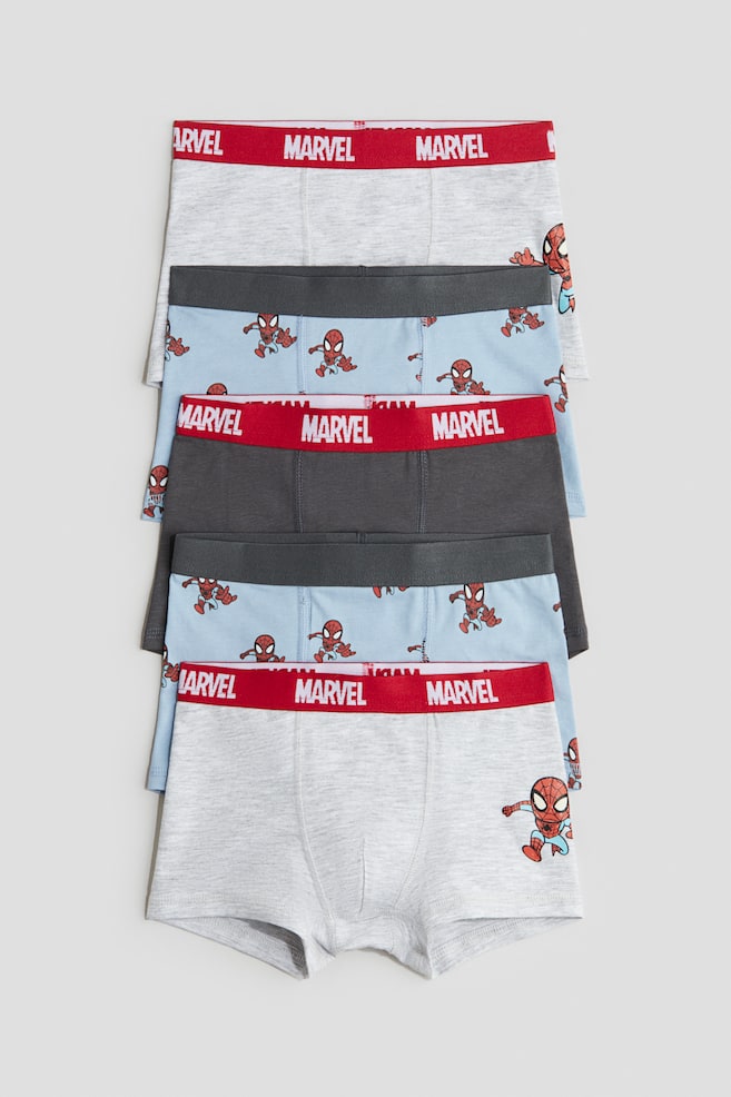 Set van 5 boxershorts - Trunk - Lichtblauw/Marvel Comics/Lichtgrijs/Minions/Grijs gemêleerd/rood/Marvel/Lichtblauw/Hot Wheels/Zwart/Minecraft/Wit/Batman/Blauw/Sonic the Hedgehog/Grijs gemêleerd/Marvel Comics/Turkoois/Pokémon - 1