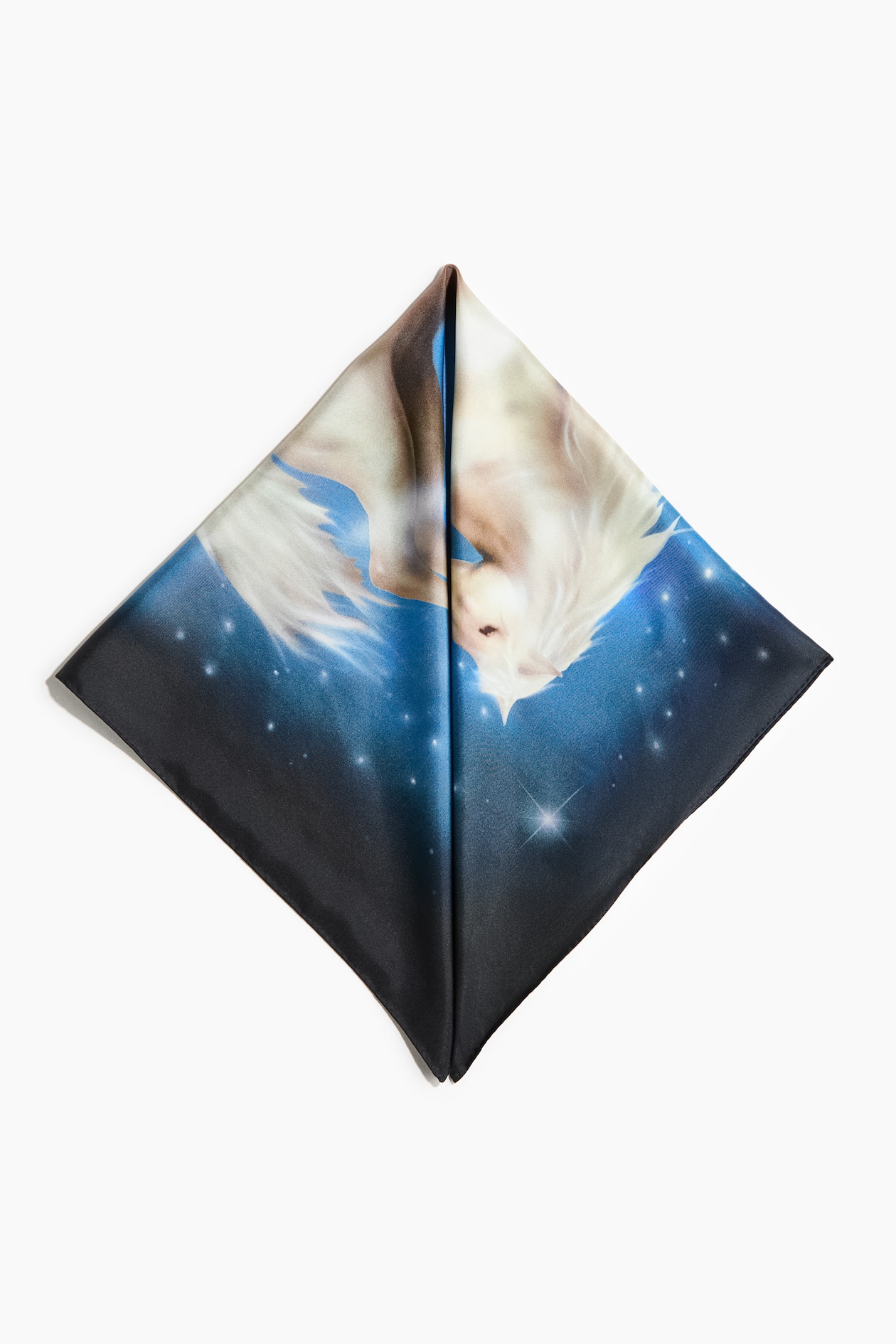 Printed Silk Scarf - image 5