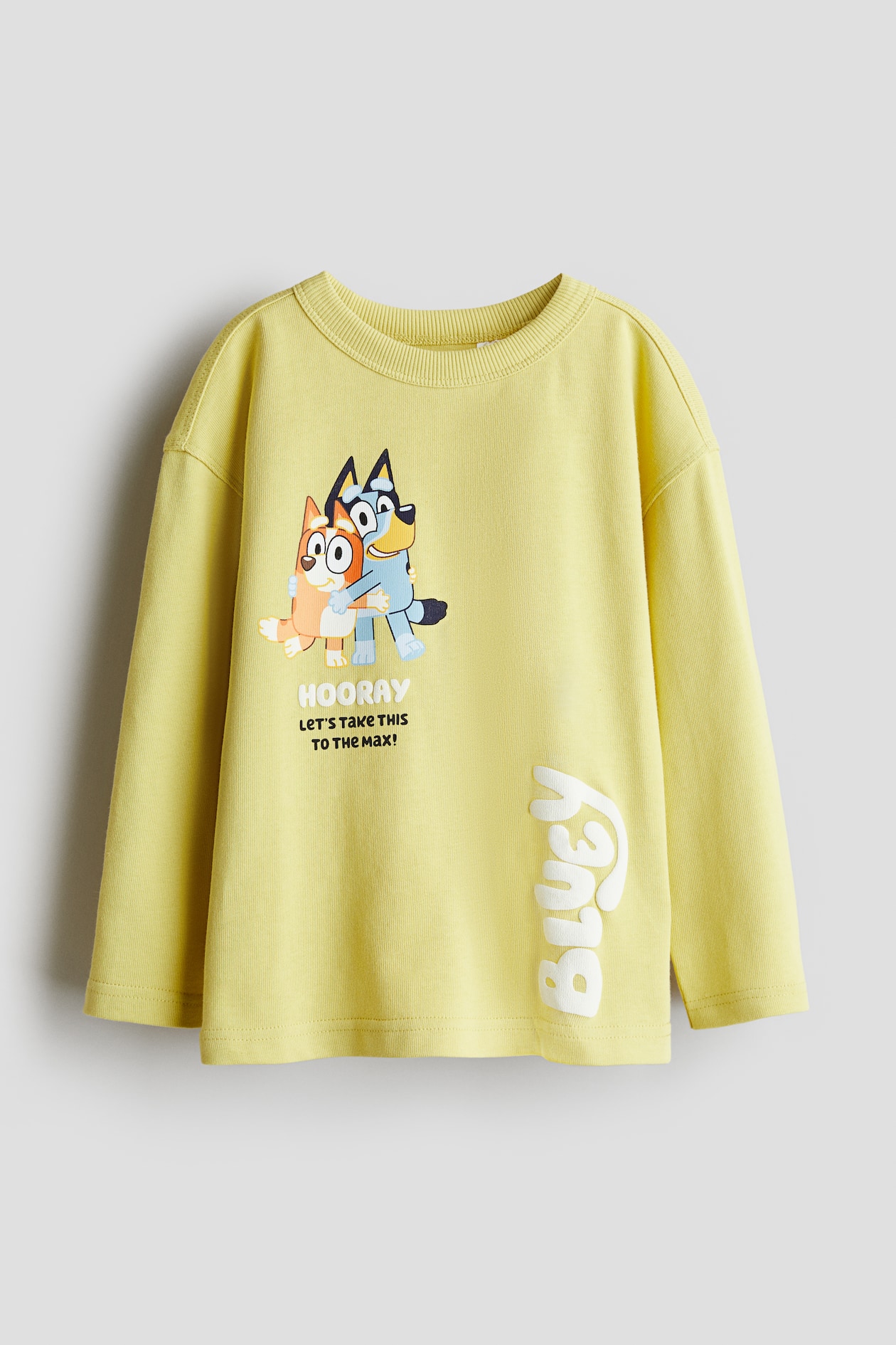 printed-long-sleeved-jersey-shirt-light-green-bluey-kids-h-m-ph