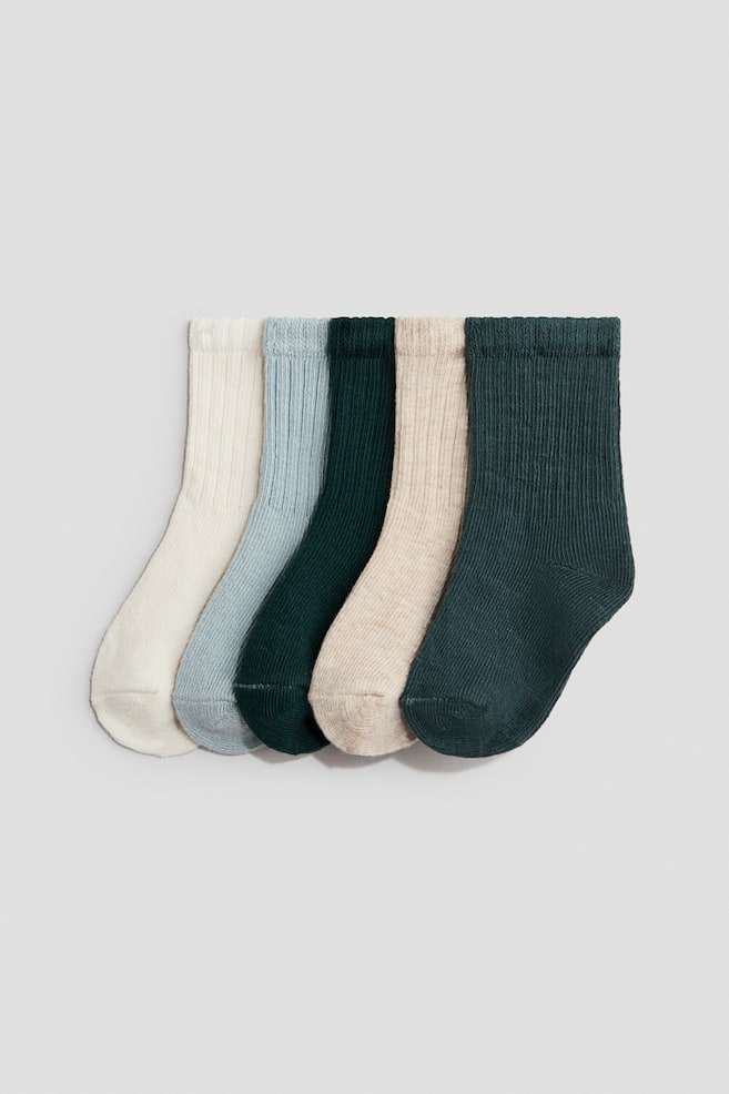 Lot de 5 paires de chaussettes - Vert foncé/beige clair/Beige/gris/Beige clair/marron/Rouge foncé/rose/Bleu ancien/blanc - 1