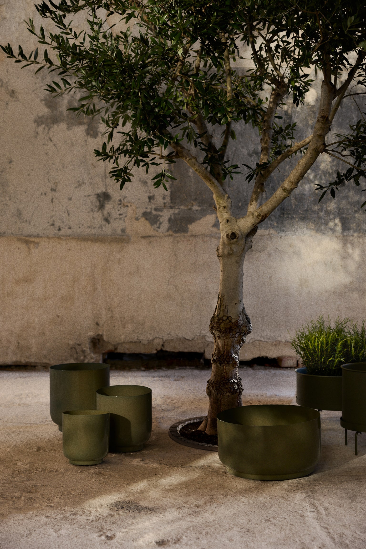 Wide metal plant pot - Green/Sand beige/Dark brown - 2