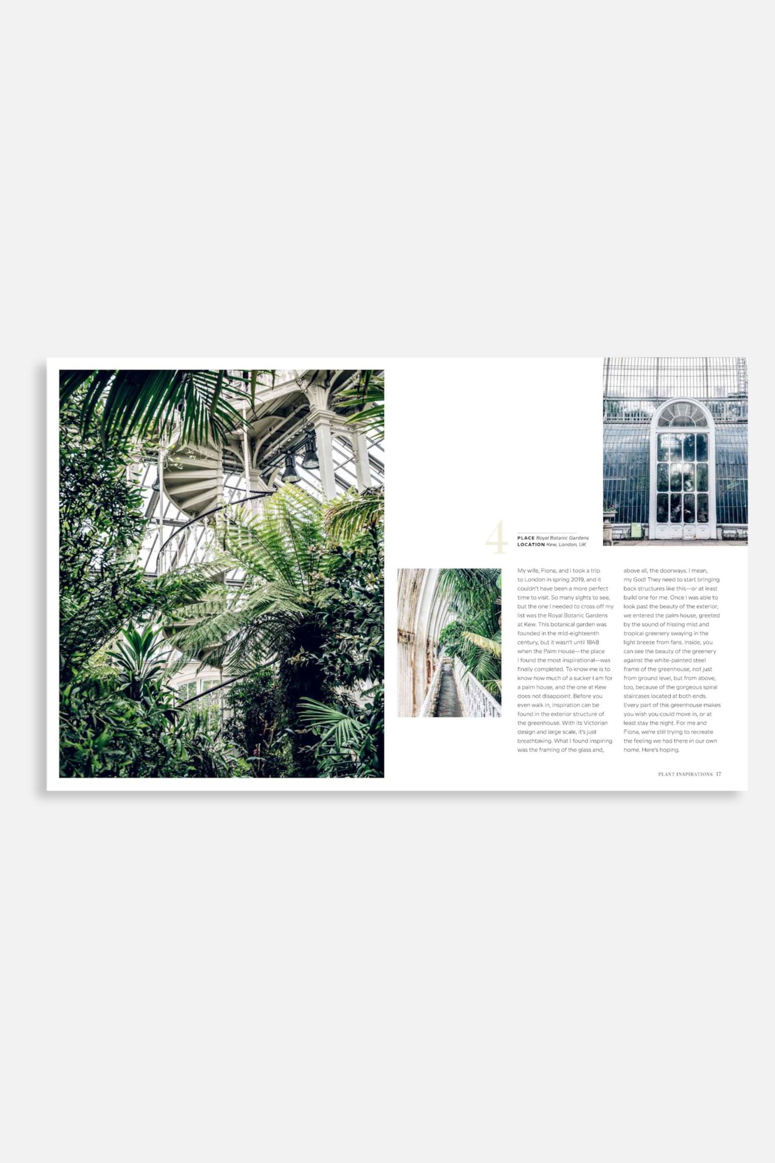 Wild Interiors - Wild Interiors - 2