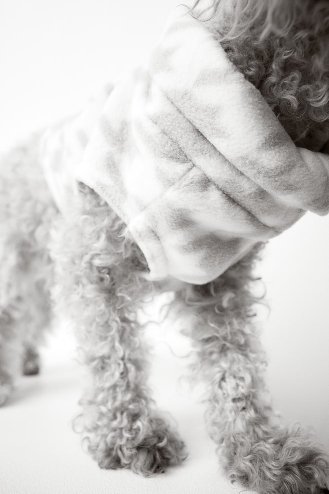 Sweat polaire pour chien - Blanc/motif pied-de-poule/Beige foncé/carreaux - 6