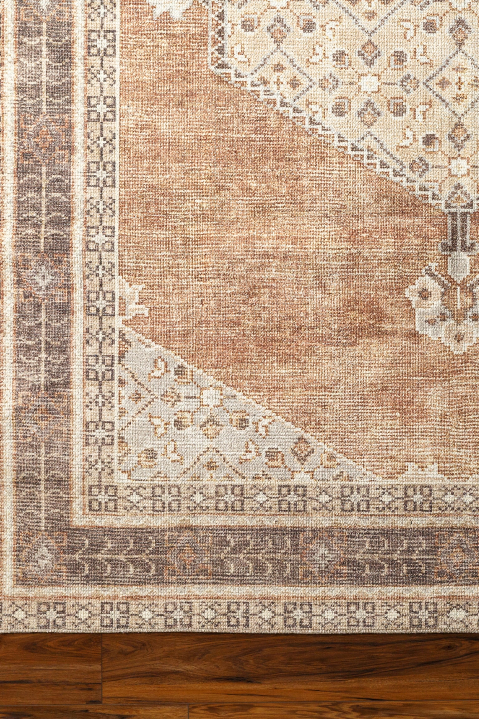 Lila Vintage Traditional Designer Rug-Terracotta - 5