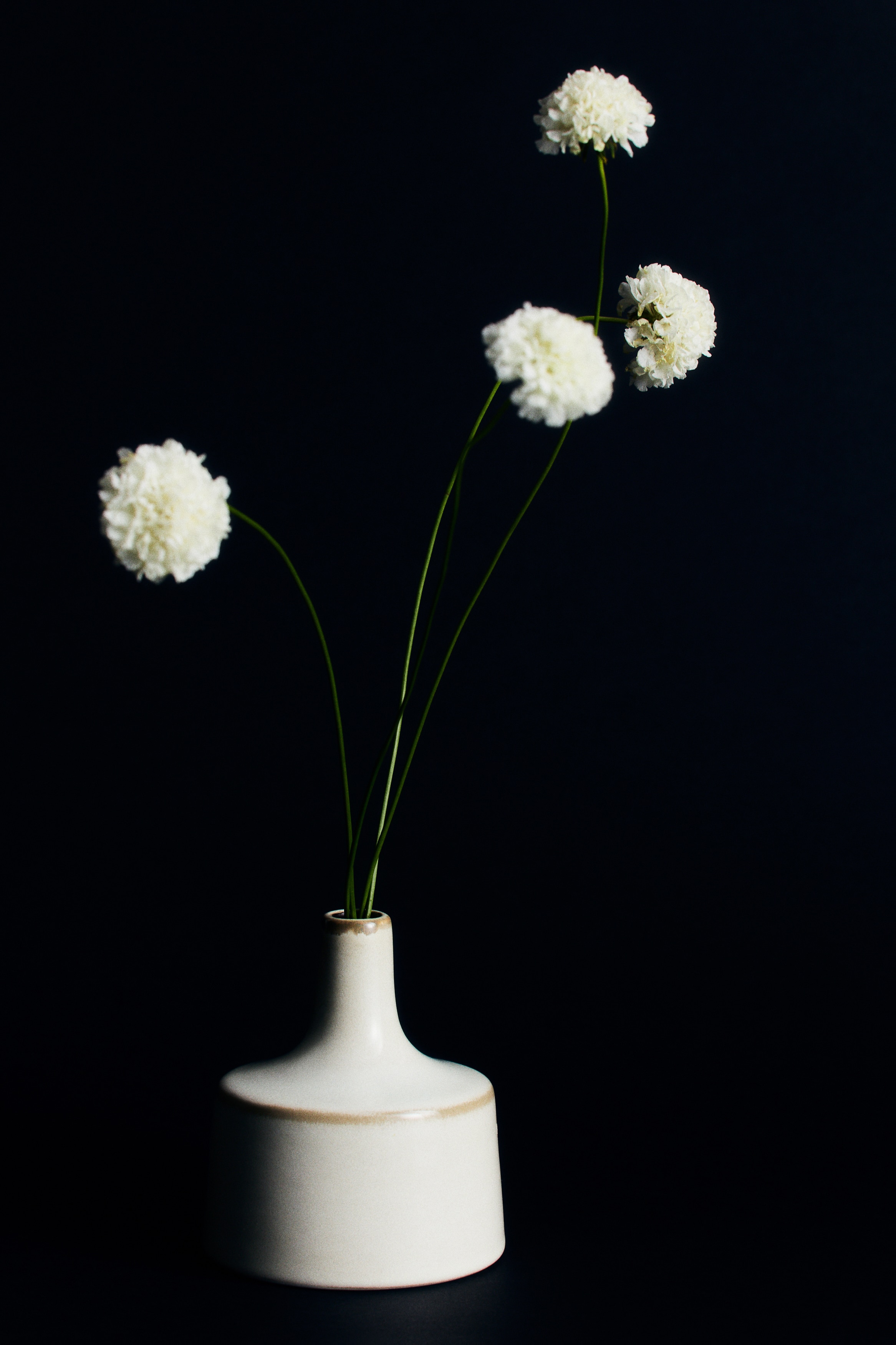 Un vase en céramique blanc cassé présente un corps large et arrondi qui se rétrécit brusquement vers un col cylindrique et élancé. Un rebord brun foncé termine l'ouverture, et une bande subtile de couleur brune entoure la partie la plus large du corps.