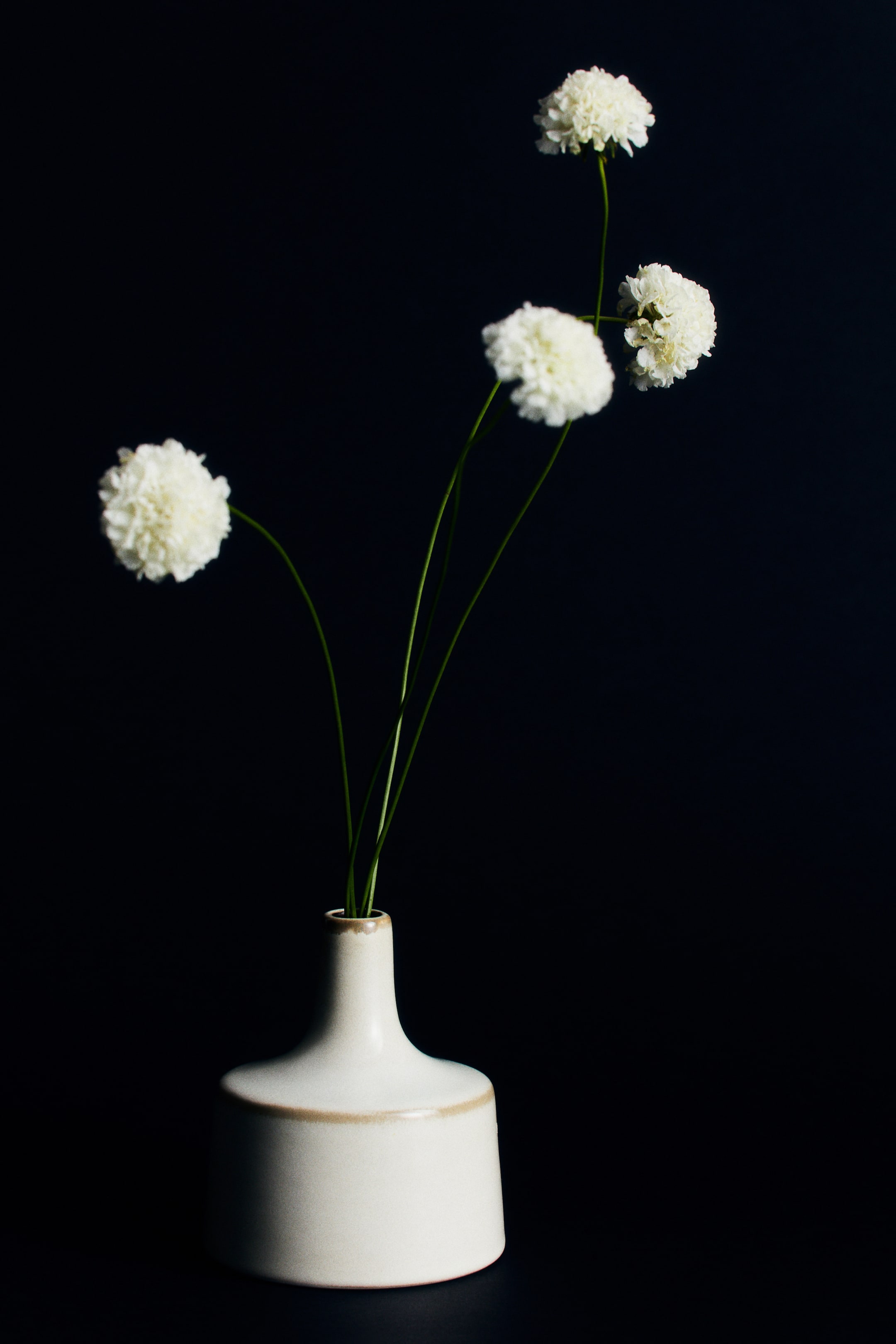 Ver imagem maior: Um pequeno vaso de grés está colocado virado para a frente, apresentando um corpo cilíndrico largo, ombros inclinados e um gargalo estreito. O vaso, com esmalte creme, contém quatro caules verdes delgados, rematados por flores brancas esféricas e fofas.