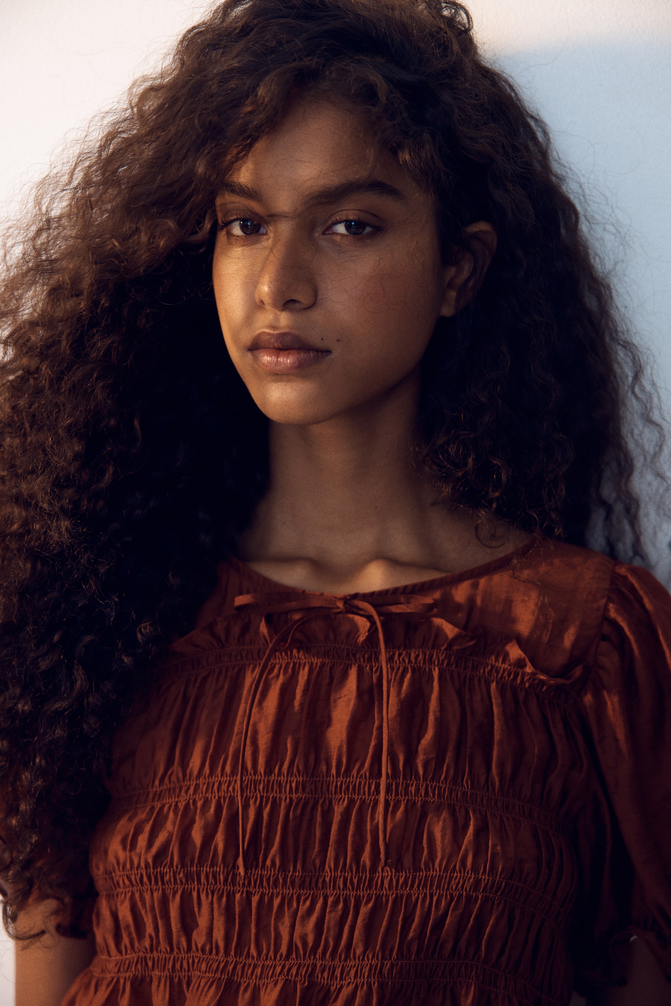 View larger image: A rust-coloured top featuring a tie-front round neckline with a bow, showcasing horizontal shirring across its bodice and gathered puff sleeves at the shoulders.