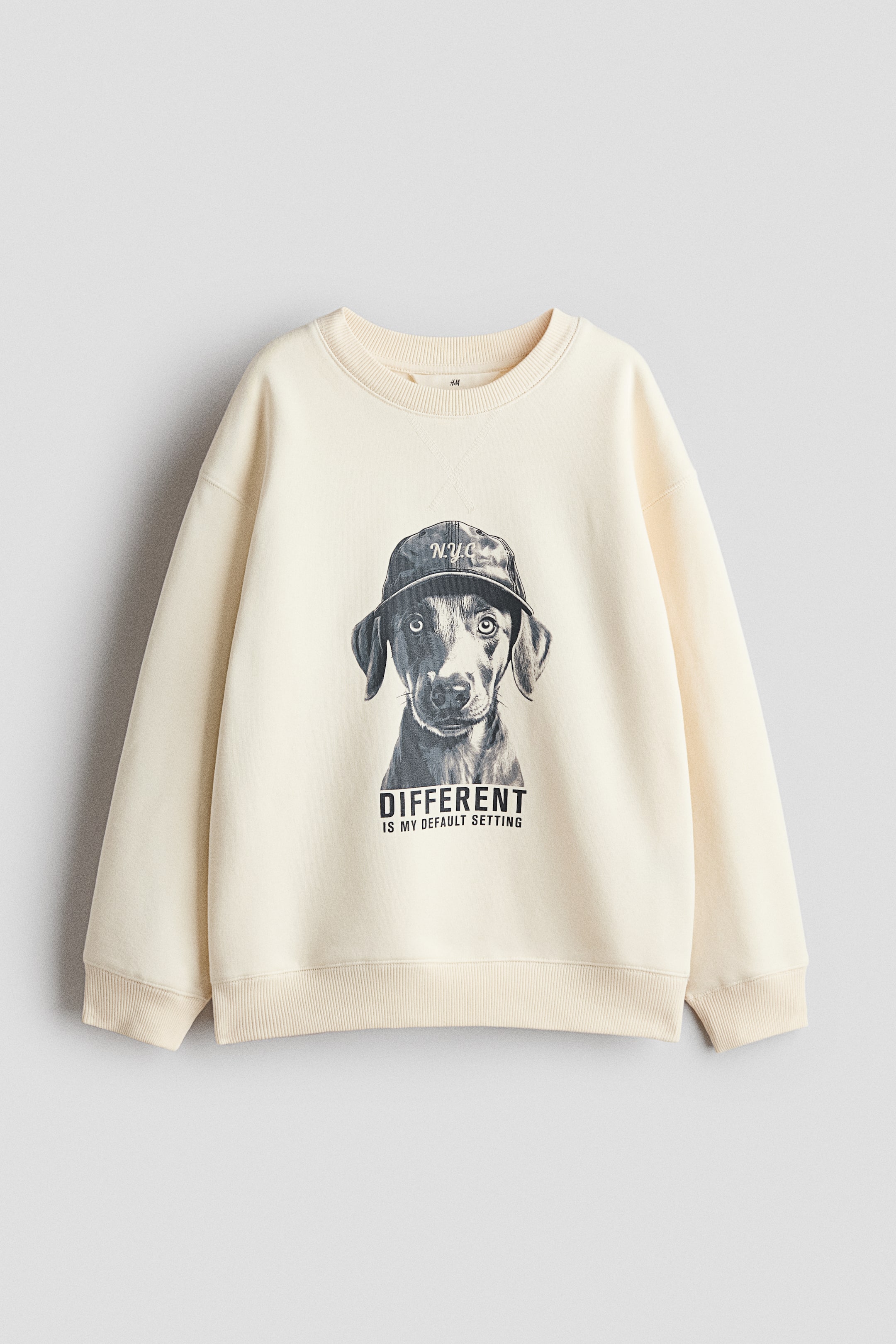 Agrandir l'image: Un sweat-shirt couleur crème présente son devant. Il comporte un imprimé noir et blanc représentant un chien portant une casquette "N.Y.C", avec le texte "DIFFERENT IS MY DEFAULT SETTING" inscrit en dessous. Le sweat est conçu avec une encolure ras-du-cou côtelée, un détail de surpiqûre en V sous l'encolure, des poignets côtelés et un bas côtelé.