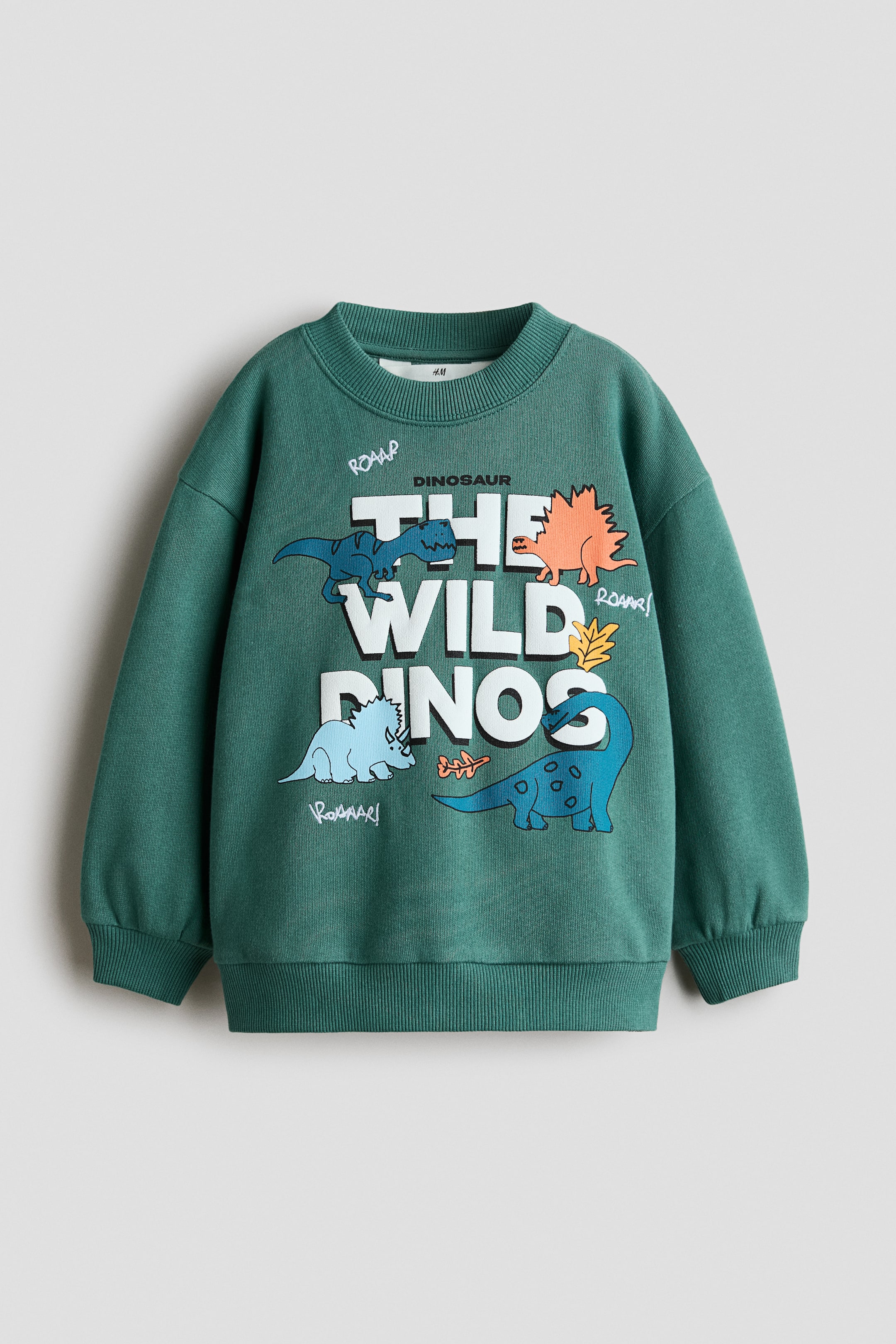 View larger image: A green sweatshirt is shown from the front, featuring a round ribbed neckline, dropped shoulders, and long sleeves with ribbed cuffs and a ribbed hem. The front displays a printed motif with the text "THE WILD DINOS" in bold white block letters, surrounded by colourful cartoon dinosaur illustrations.
