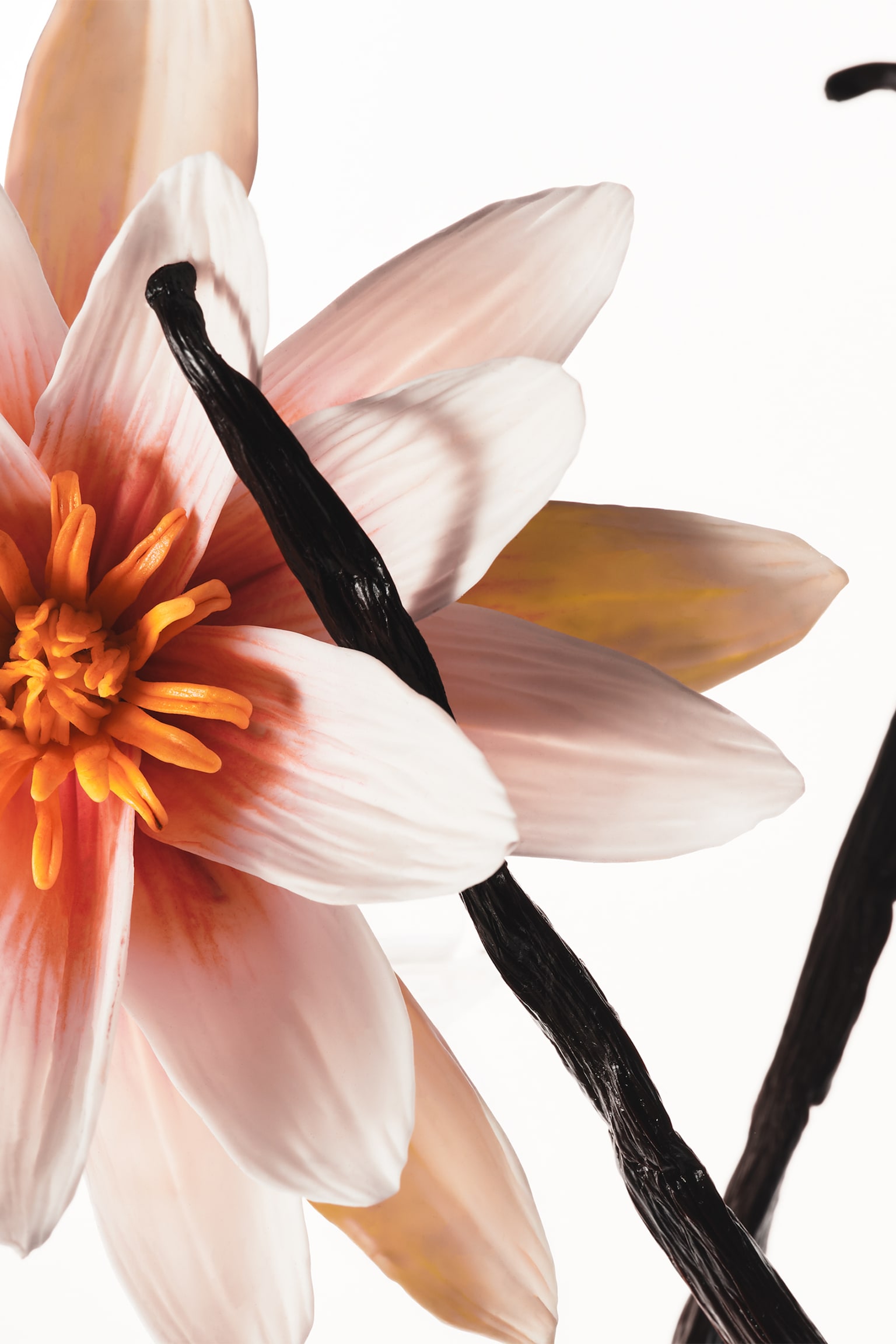 Hair & Body Mist Vanilla Dew - Vanilla Dew - 3