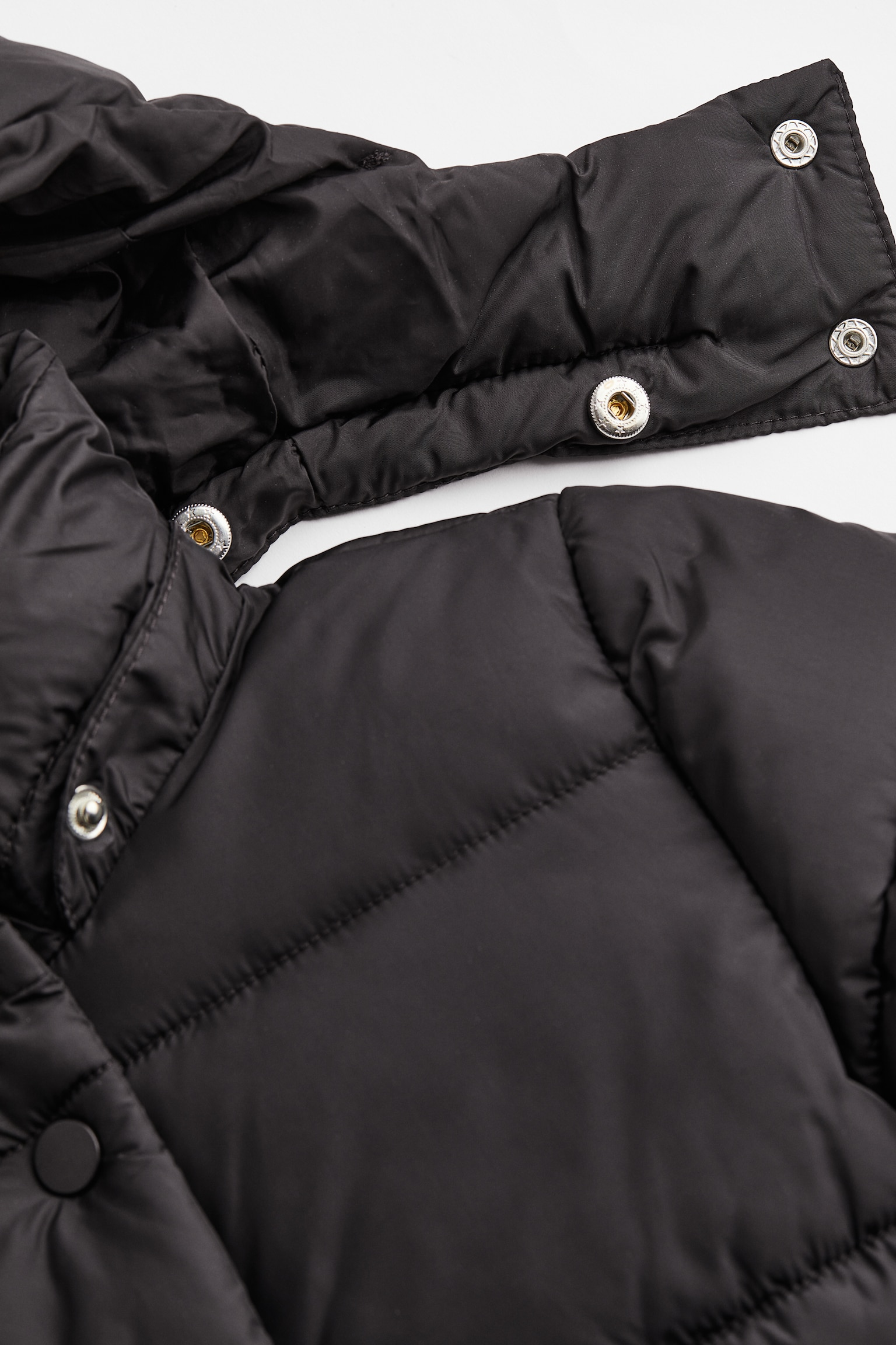 Padded hooded coat - Black - 5