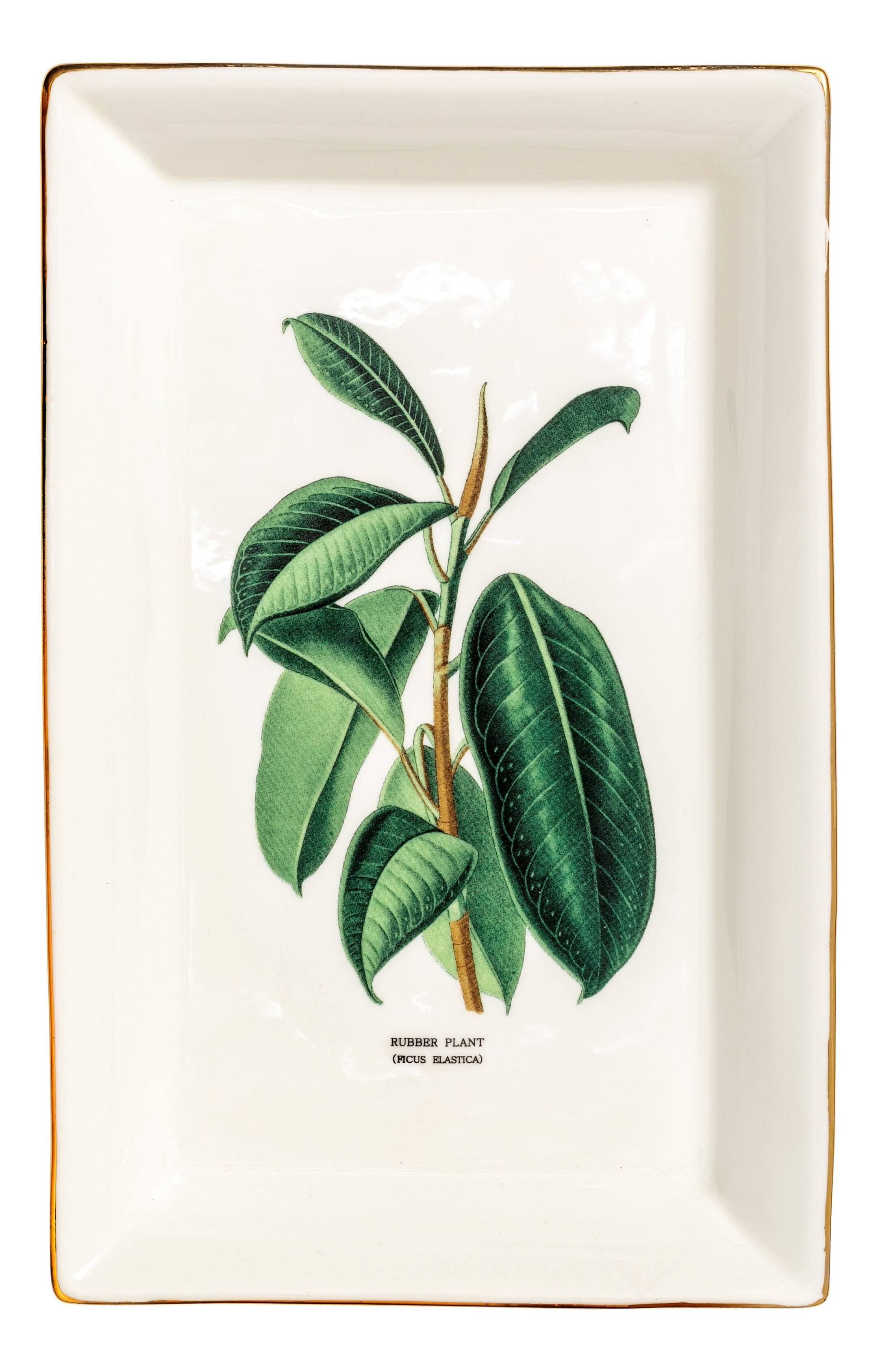 Näytä suurempi kuva: Kuvallinen posliinikulho - Luonnonvalkoinen/Fiikus - Home All | H&M FI 1