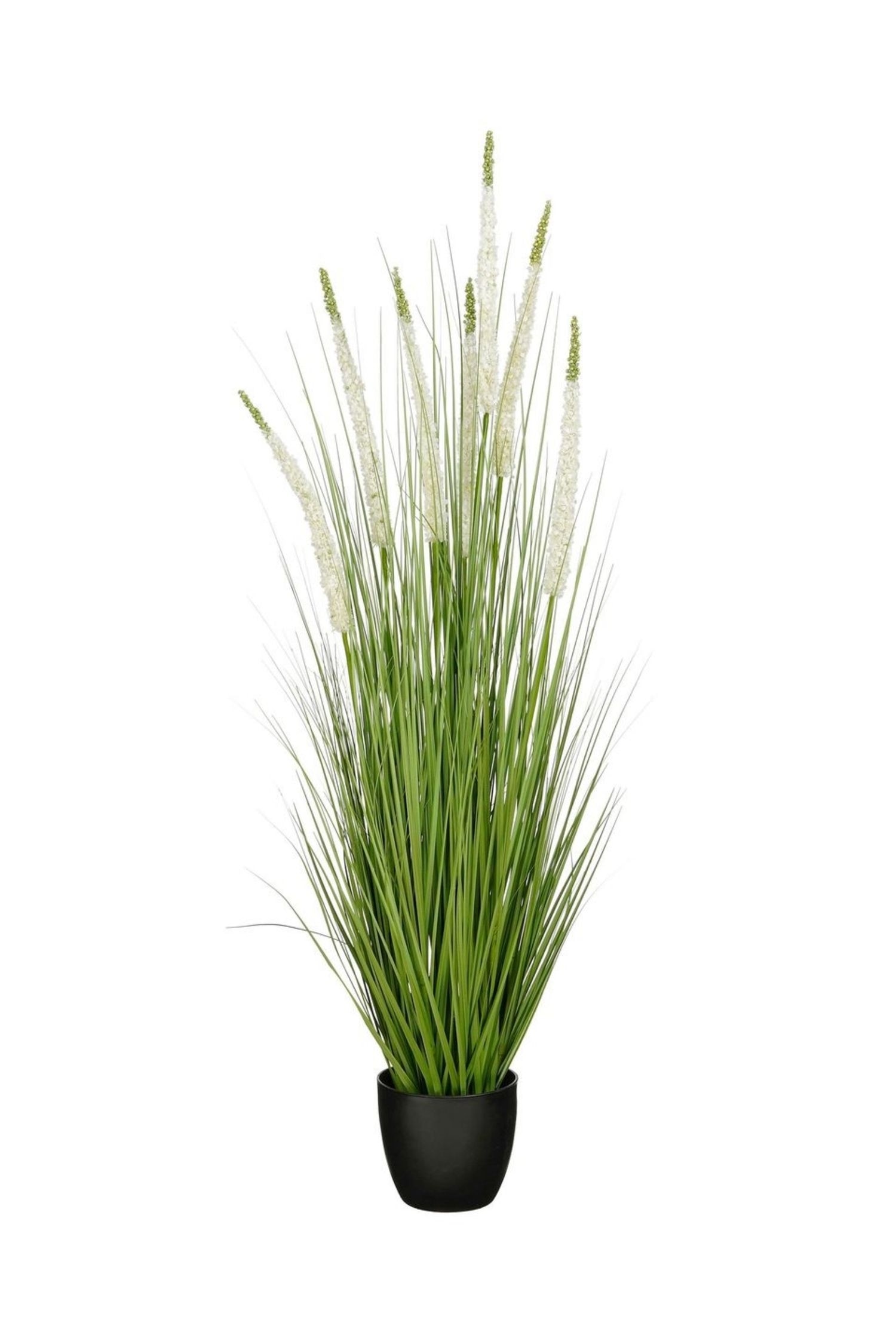 Plante ArtificielleModèle