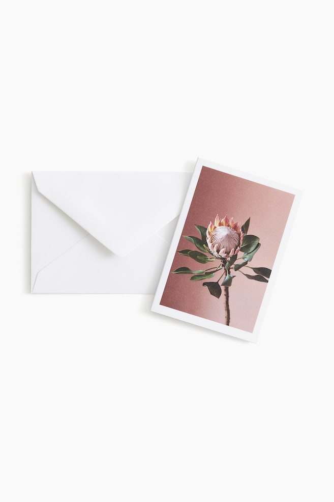 Litet kort med kuvert - Rosa/The Protea/Ljusrosa/Flower Confetti/Svart/Let's Celebrate! - 1