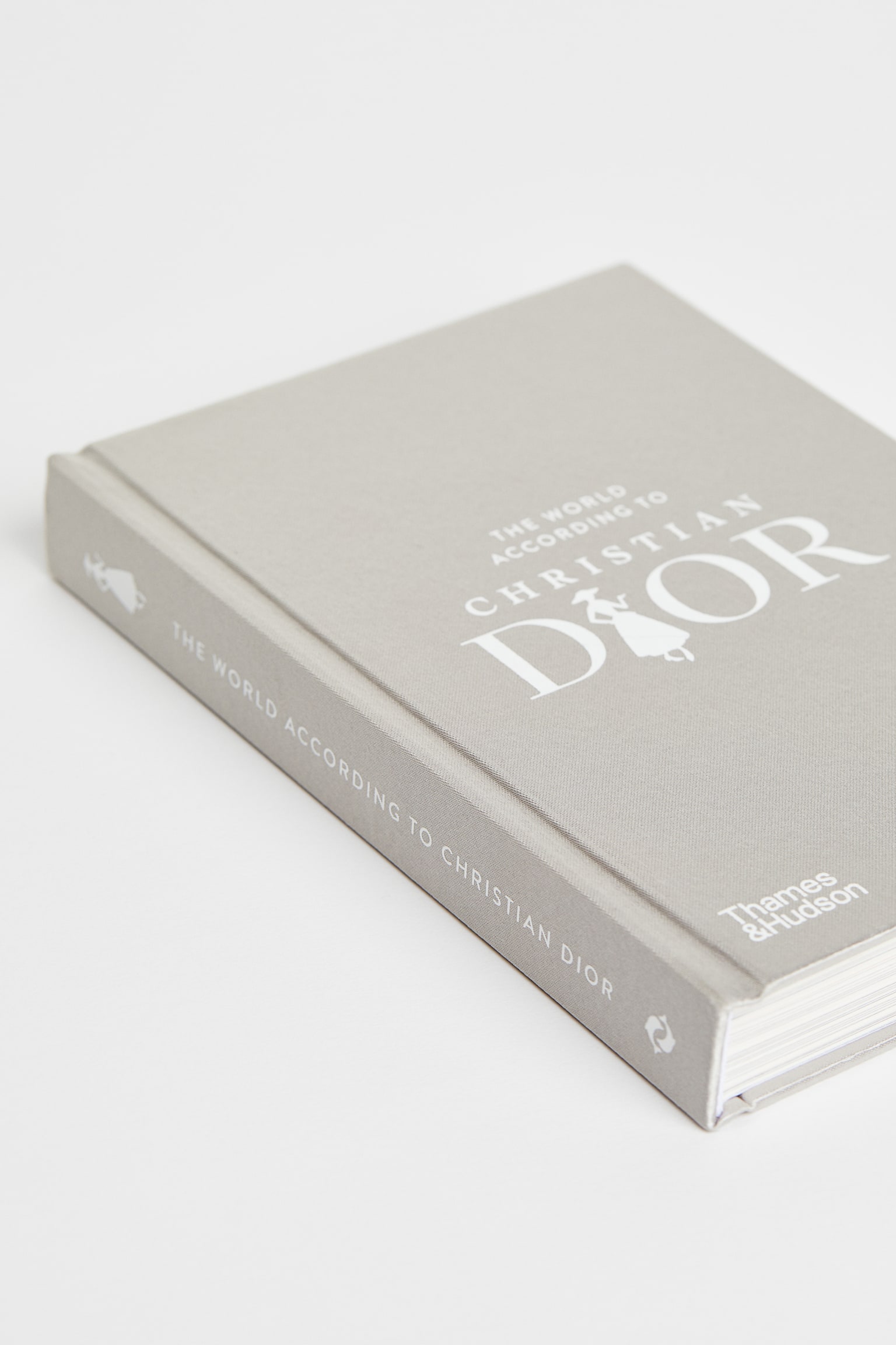 The World According to Christian Dior - Light grey - 2