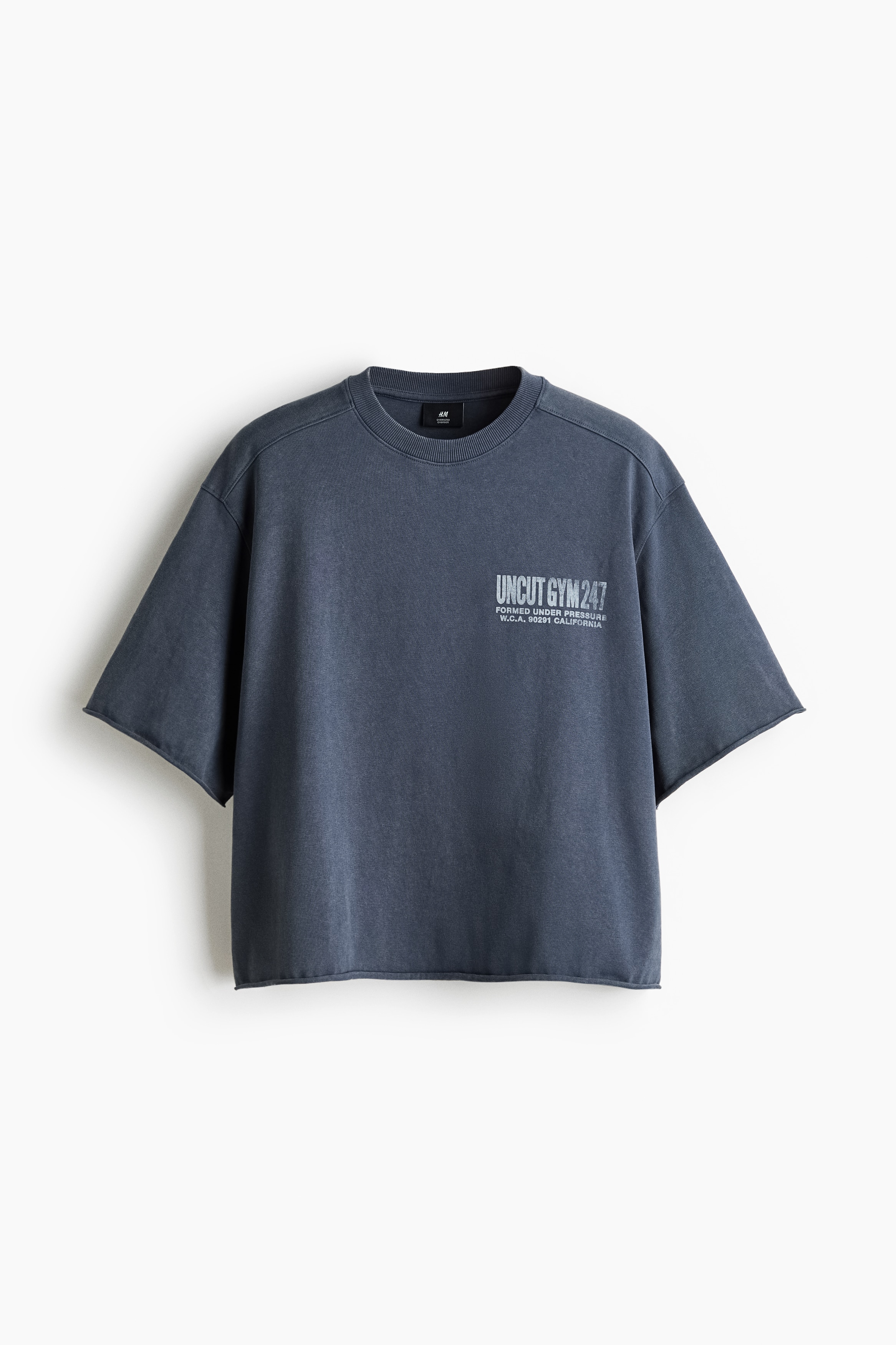 Oversized Fit Printed cotton T-shirt - Dark dusty blue/Uncut Gym 247/Cream/Athletic dept./Washed black/Westcoast