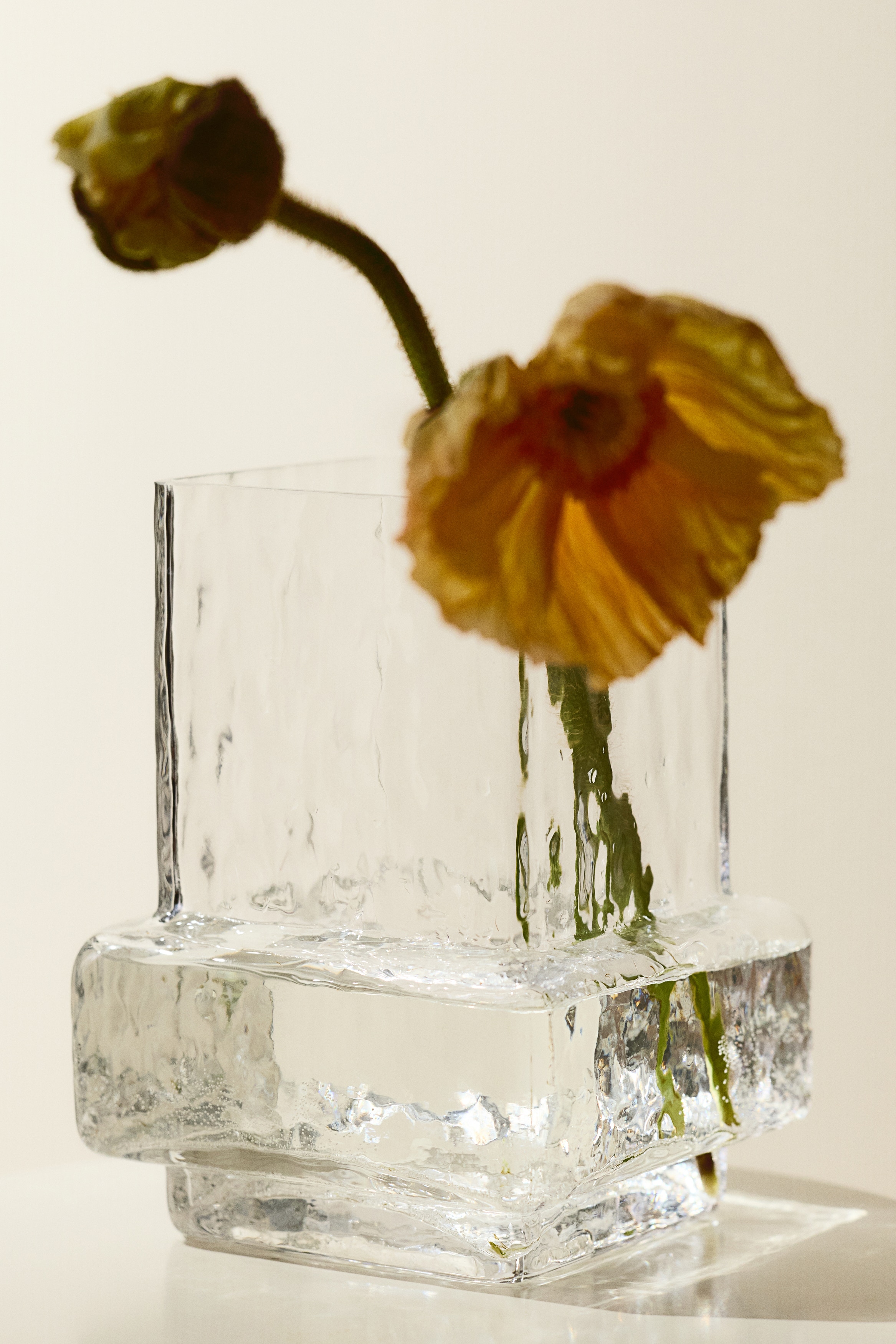 Textured-Glass Vase - Transparent/Light brown