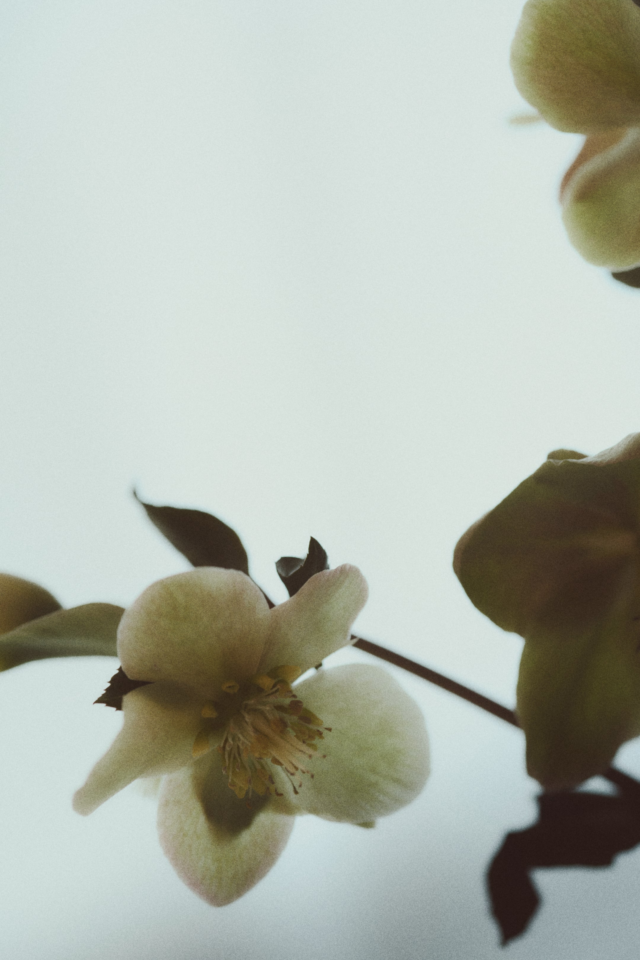 Visa större bild: Singelvas i rostfritt stål - Silver - Home All | H&M SE 2