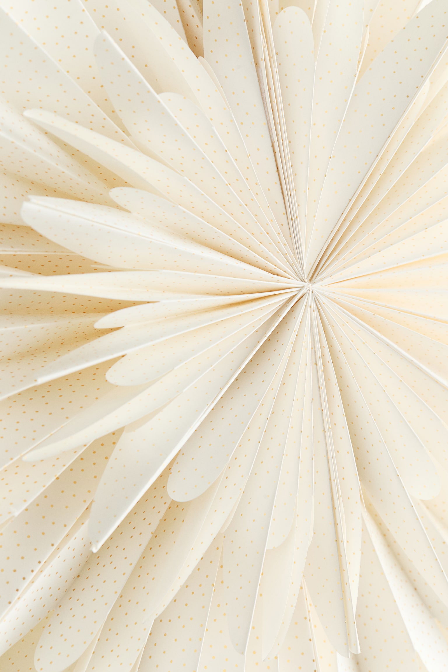 Leuchtstern aus Papier - Weiß/Gepunktet/Beige/Goldfarben gepunktet - 2