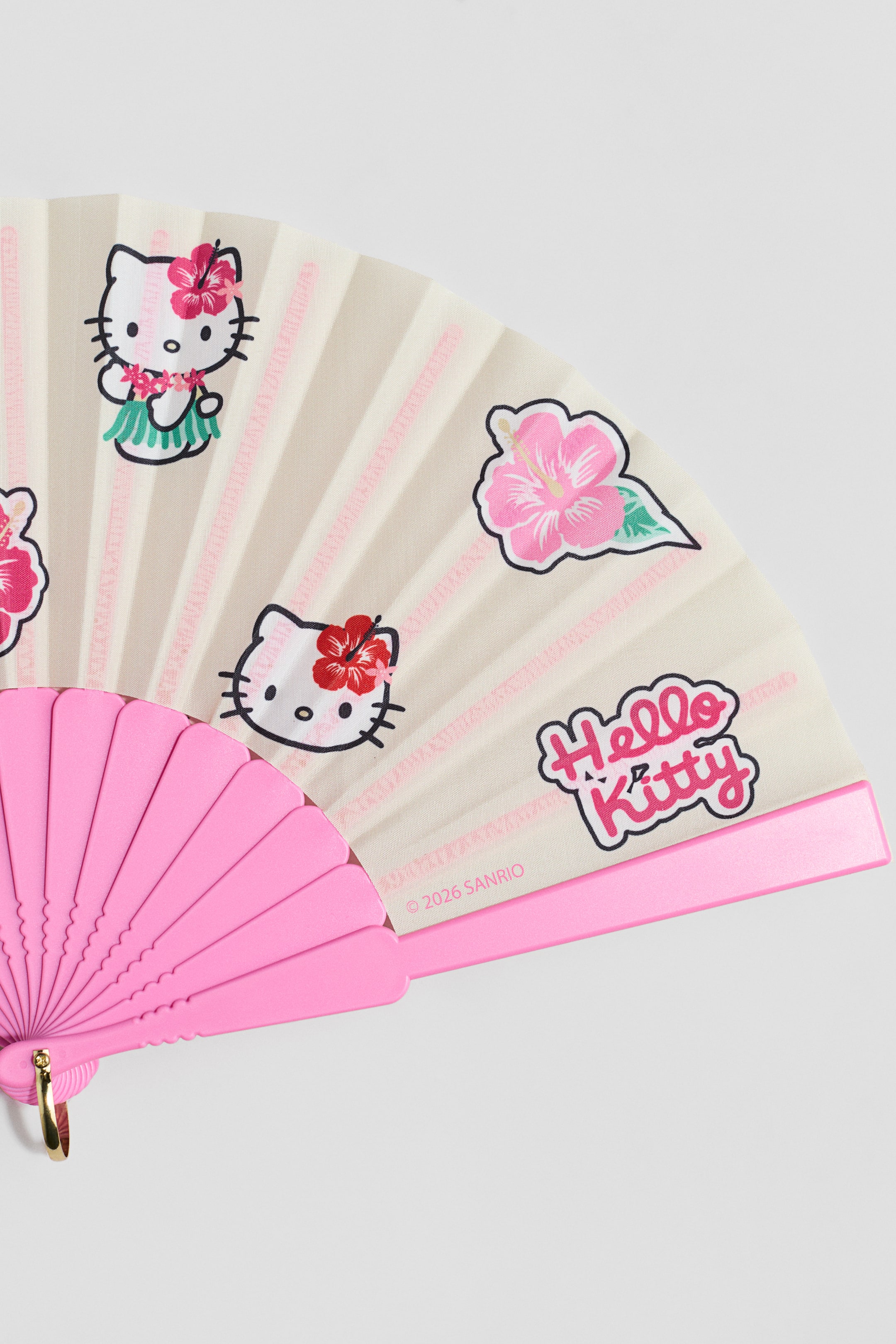 Motif-Detail Folding Fan