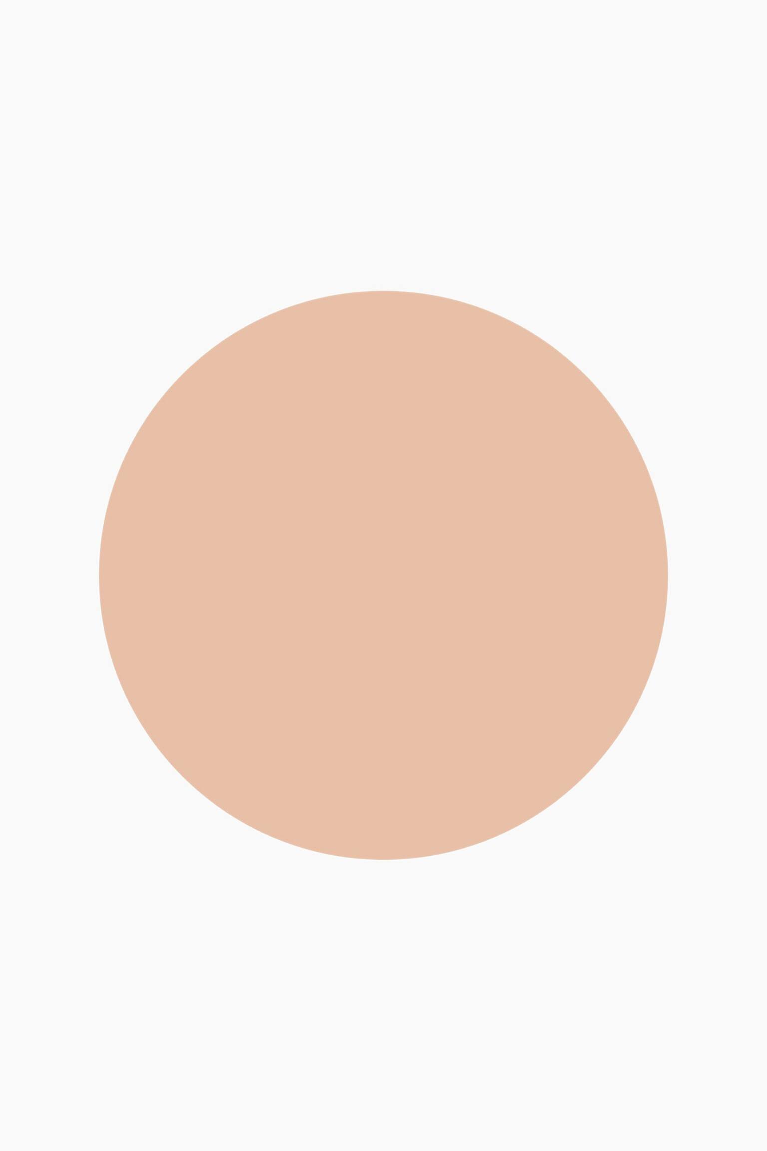 The No Compromise Matte Longwear Powder - Warm Beige/Neutral Porcelain/Neutral Almond/Warm Tan/Cool Ivory/Neutral Deep/Neutral Tan - 2