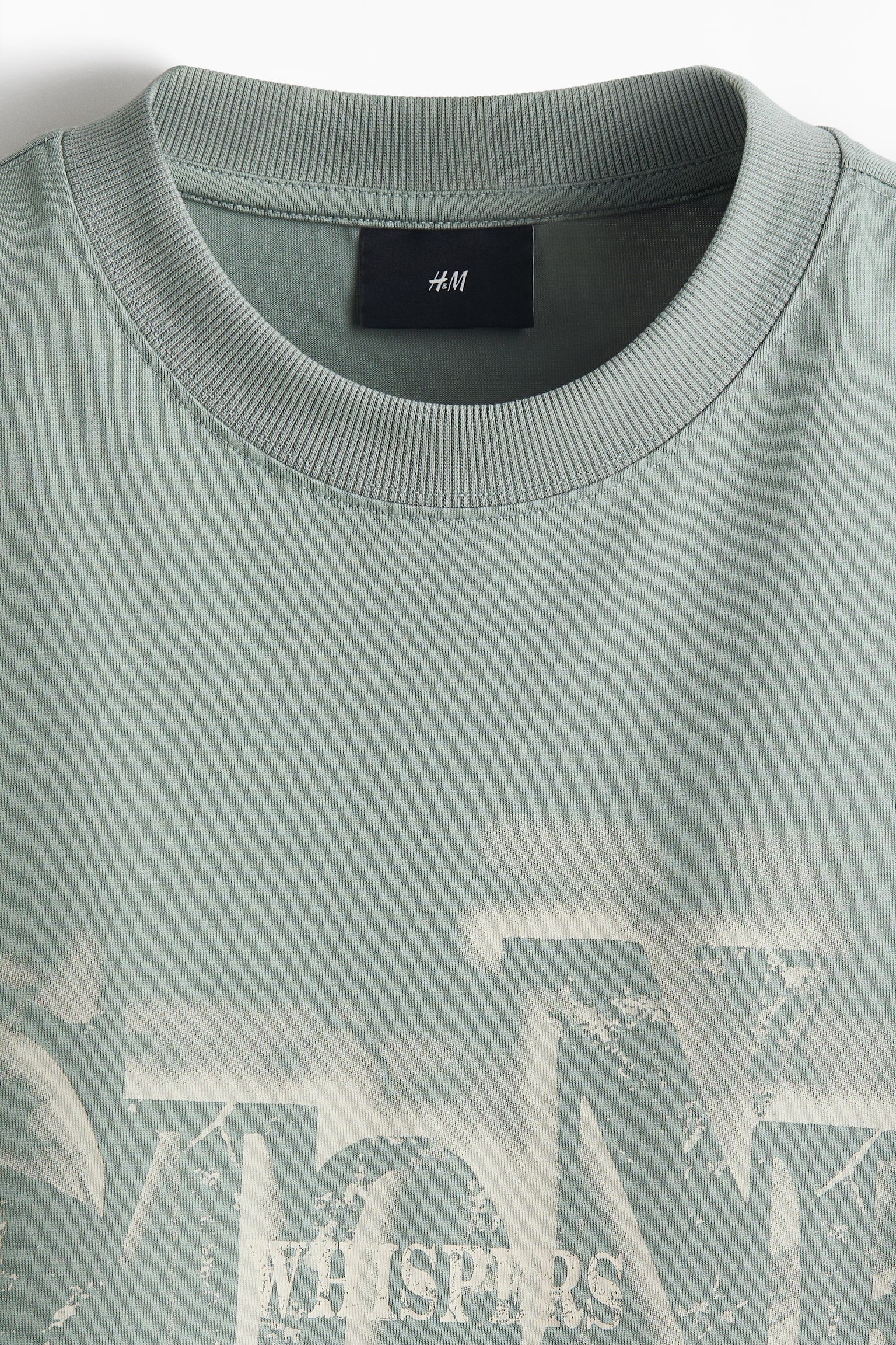 Loose Fit Printed T-shirt - Dusty green/Stone Whispers/White/Tracing Time/Black/Frozen in Time - 5