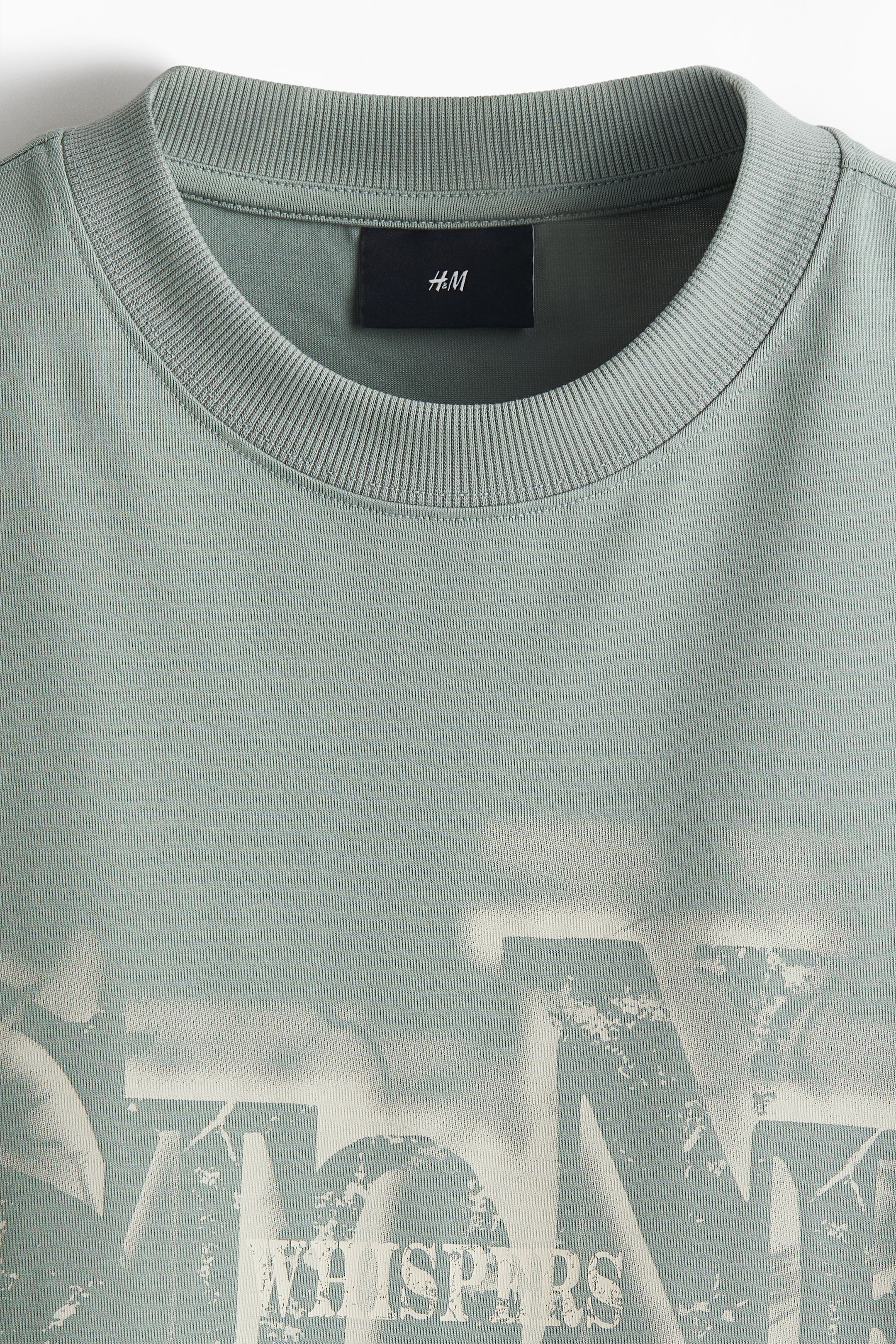 Xem ảnh lớn hơn: Loose Fit Printed T-shirt - Xanh lá khói/Stone Whispers - Men | H&M VN 5