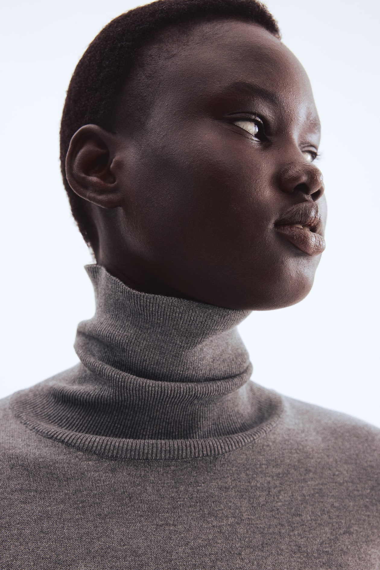Polo-neck jumper Grey marl Ladies H&M MY